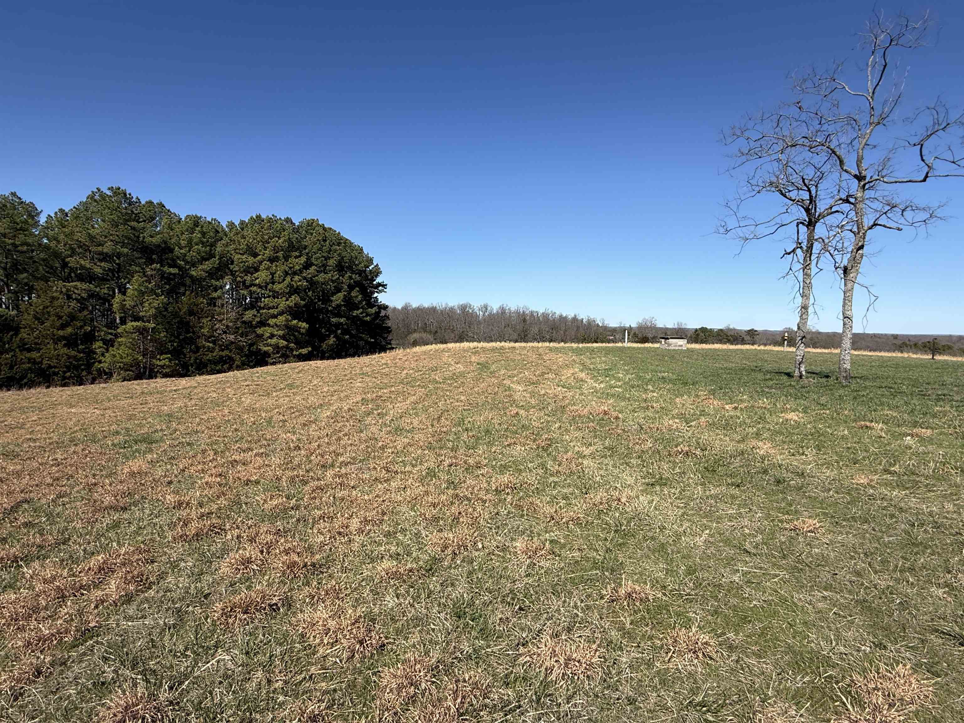 81 AR 58 Spur Hwy Melbourne, AR 72556