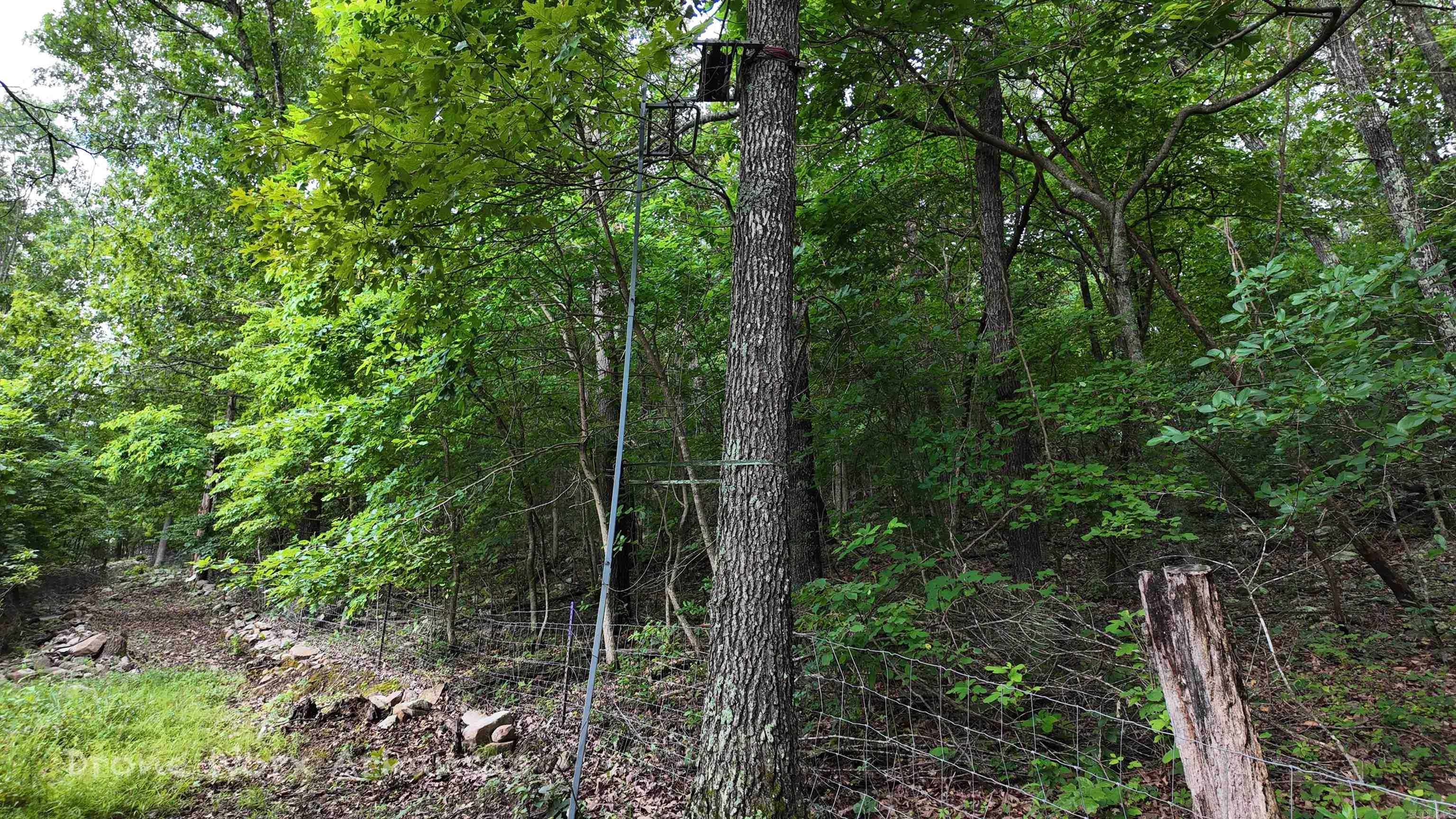 000 Meadow Crest  Everton, AR