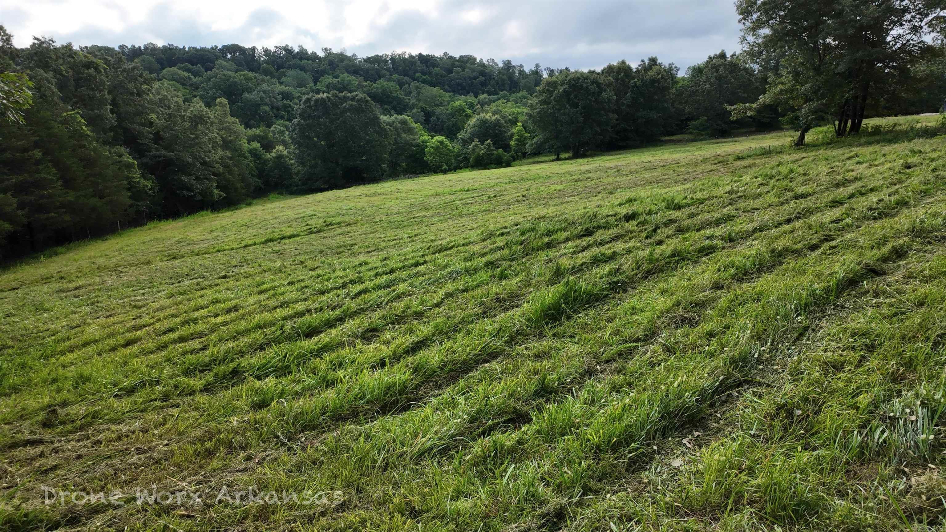 000 Meadow Crest  Everton, AR