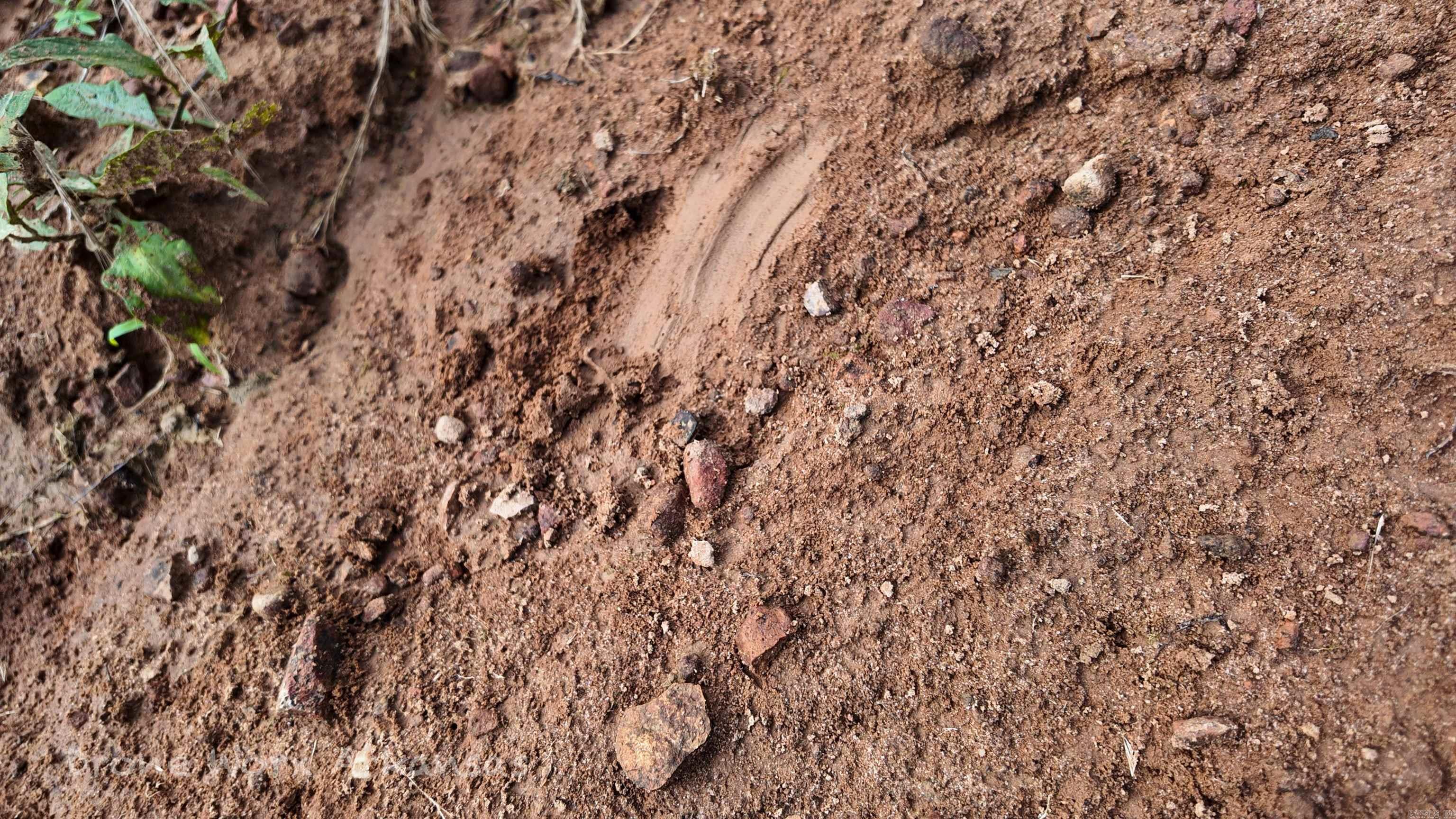 000 Meadow Crest  Everton, AR