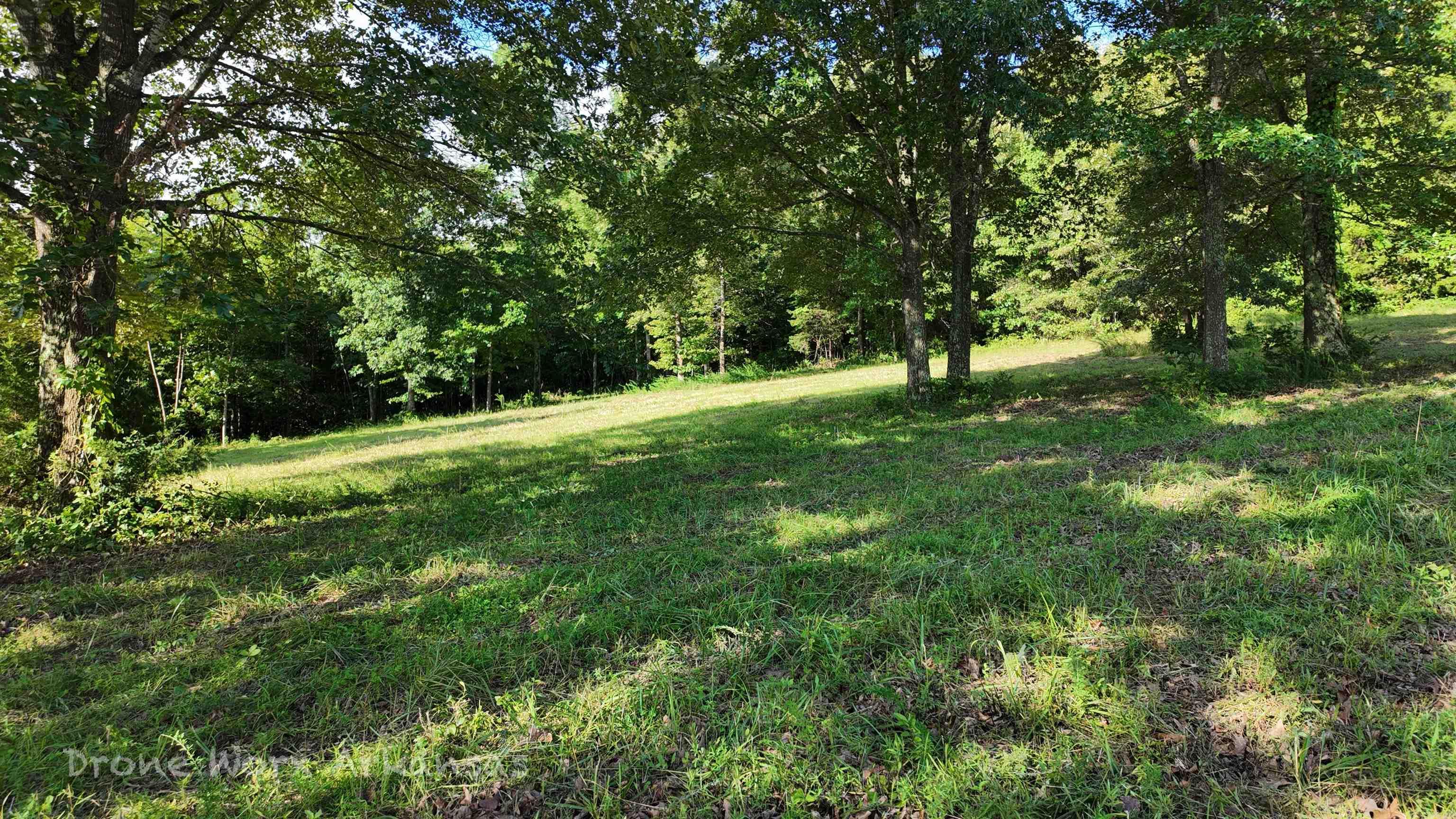 000 Meadow Crest  Everton, AR