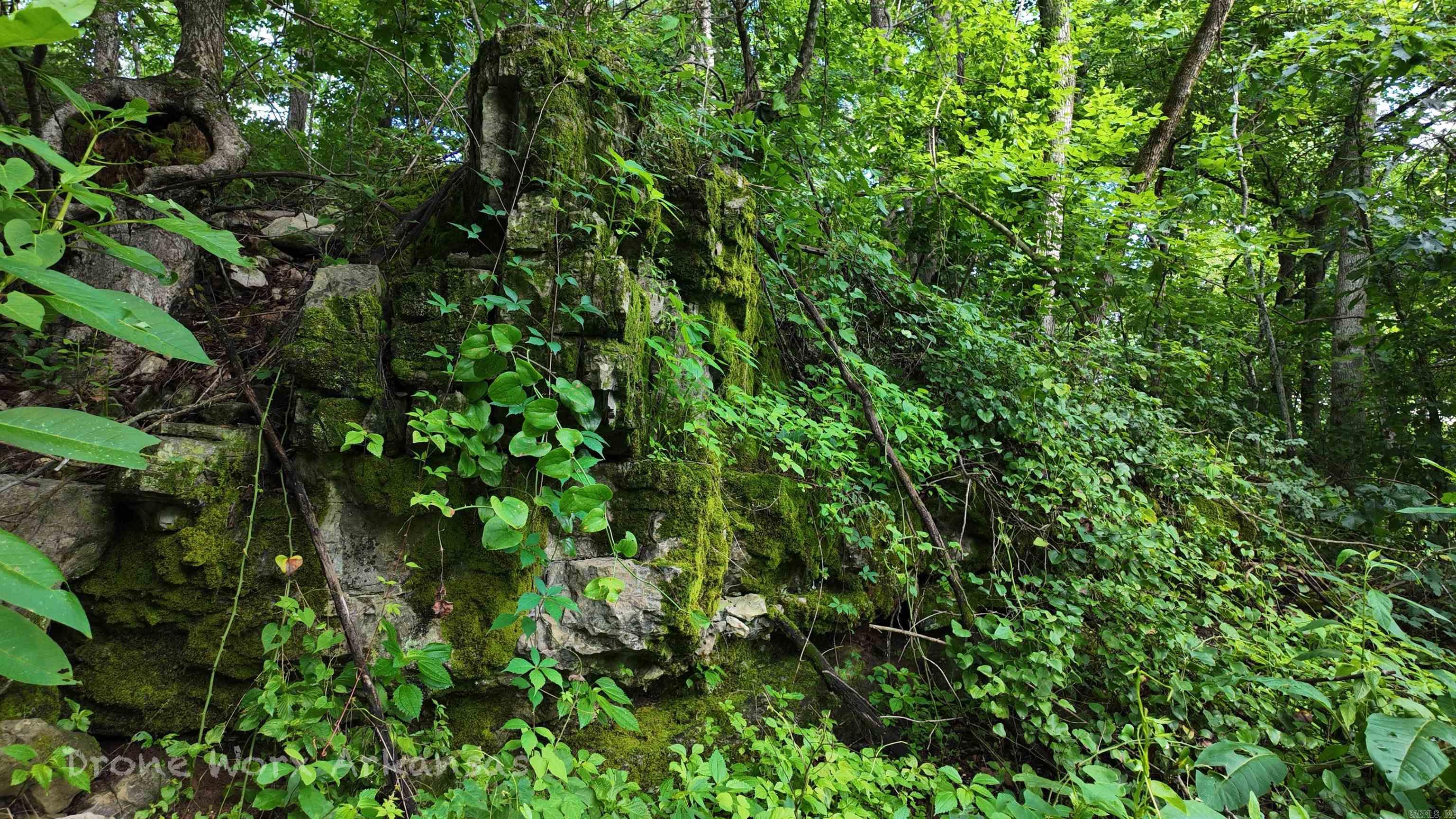 000 Meadow Crest  Everton, AR