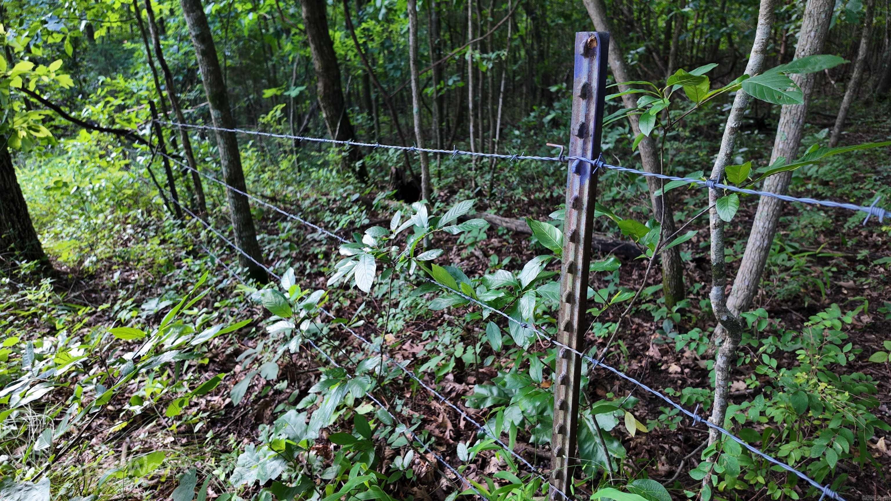 000 Meadow Crest  Everton, AR