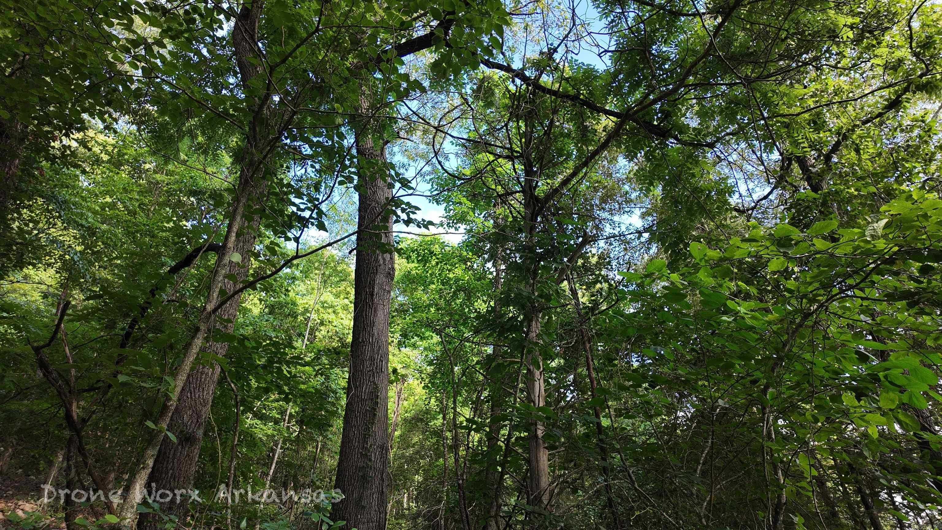 000 Meadow Crest  Everton, AR