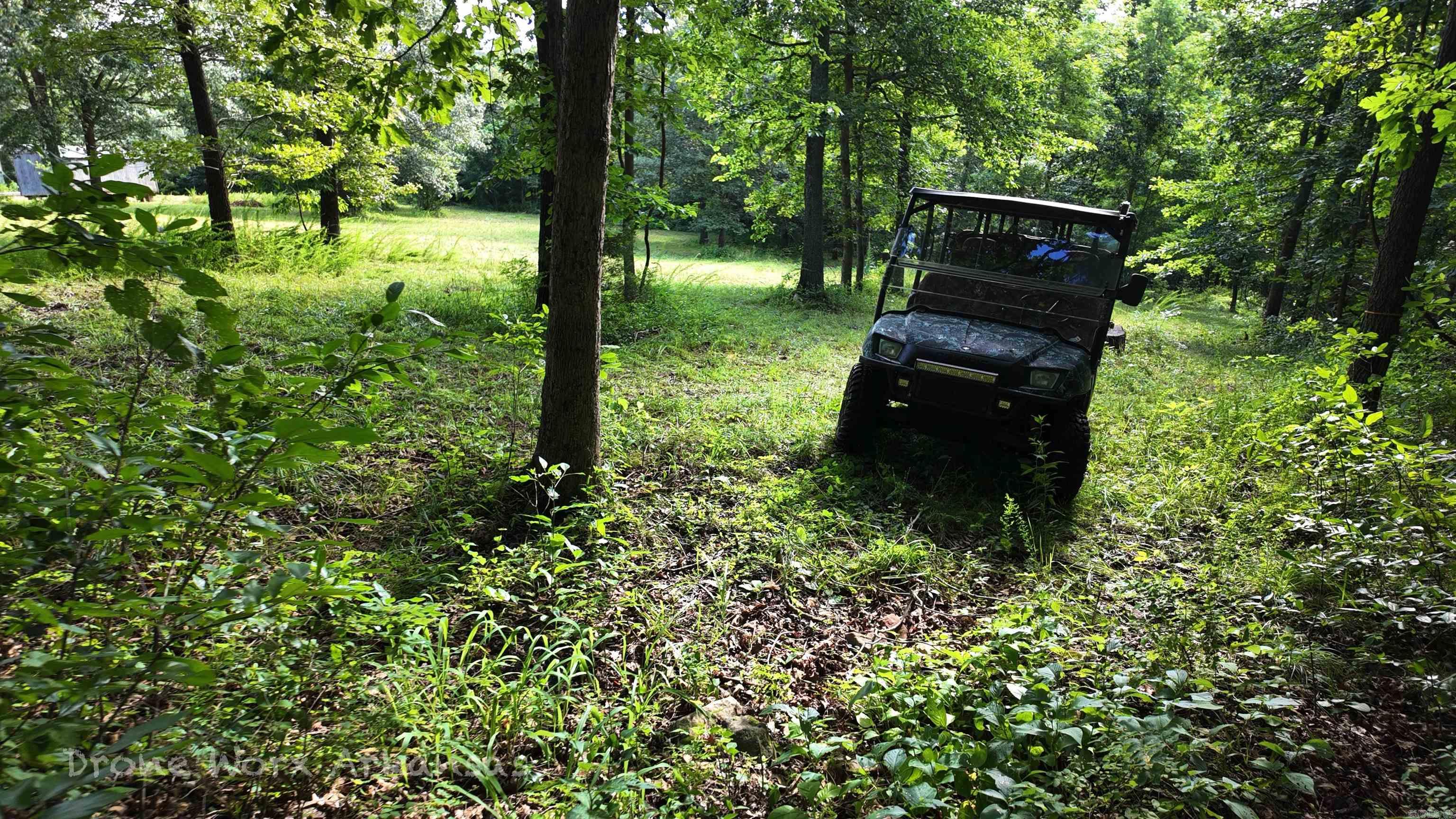 000 Meadow Crest  Everton, AR