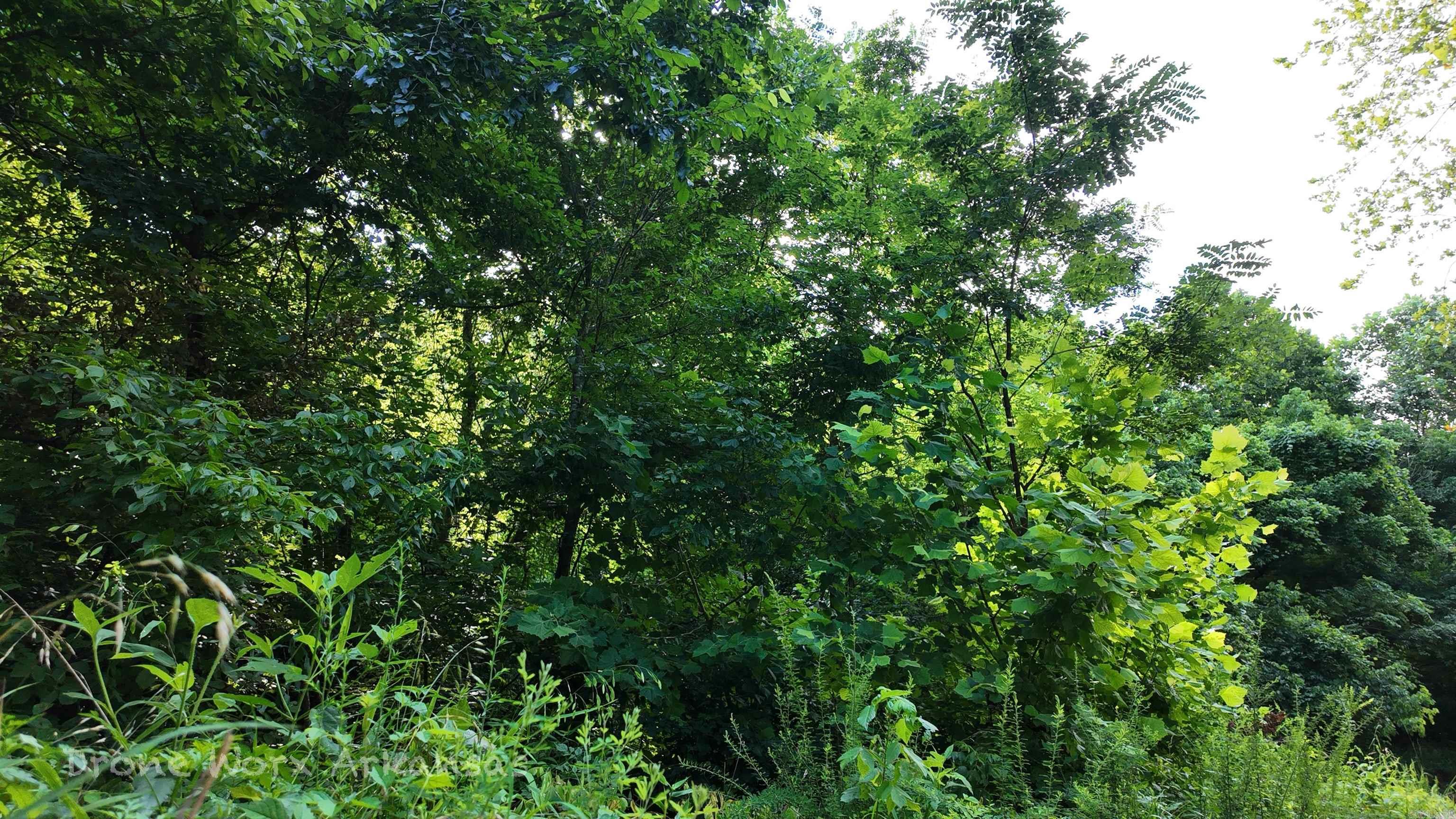 000 Meadow Crest  Everton, AR