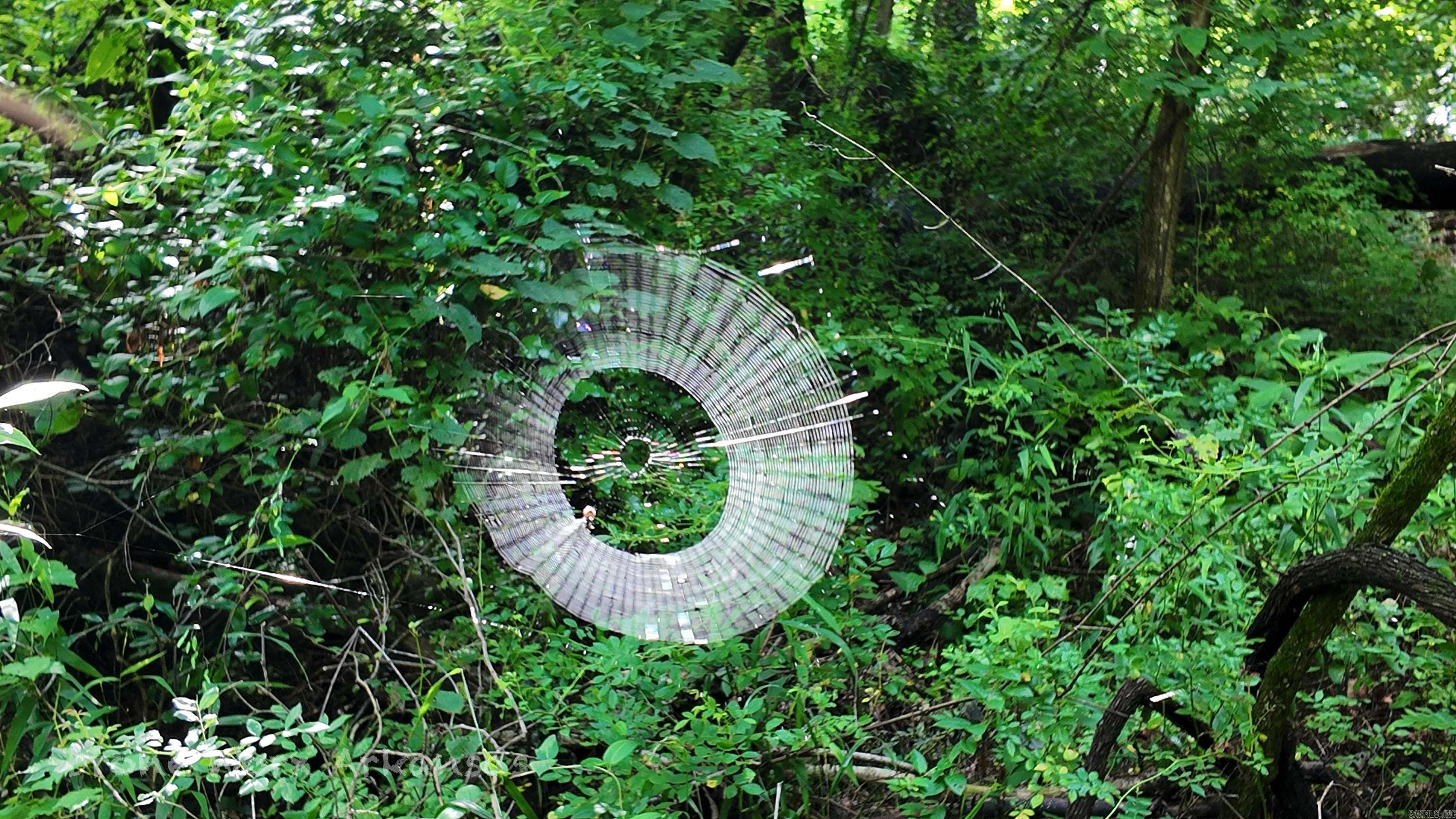 000 Meadow Crest  Everton, AR