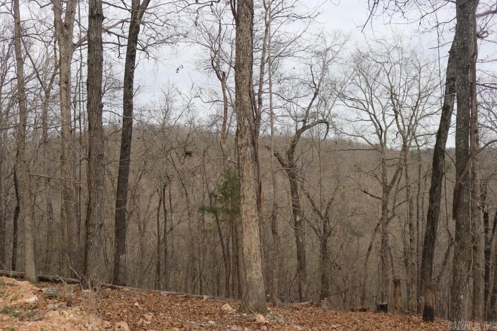 826 Crooked Creek  Mountain View, AR