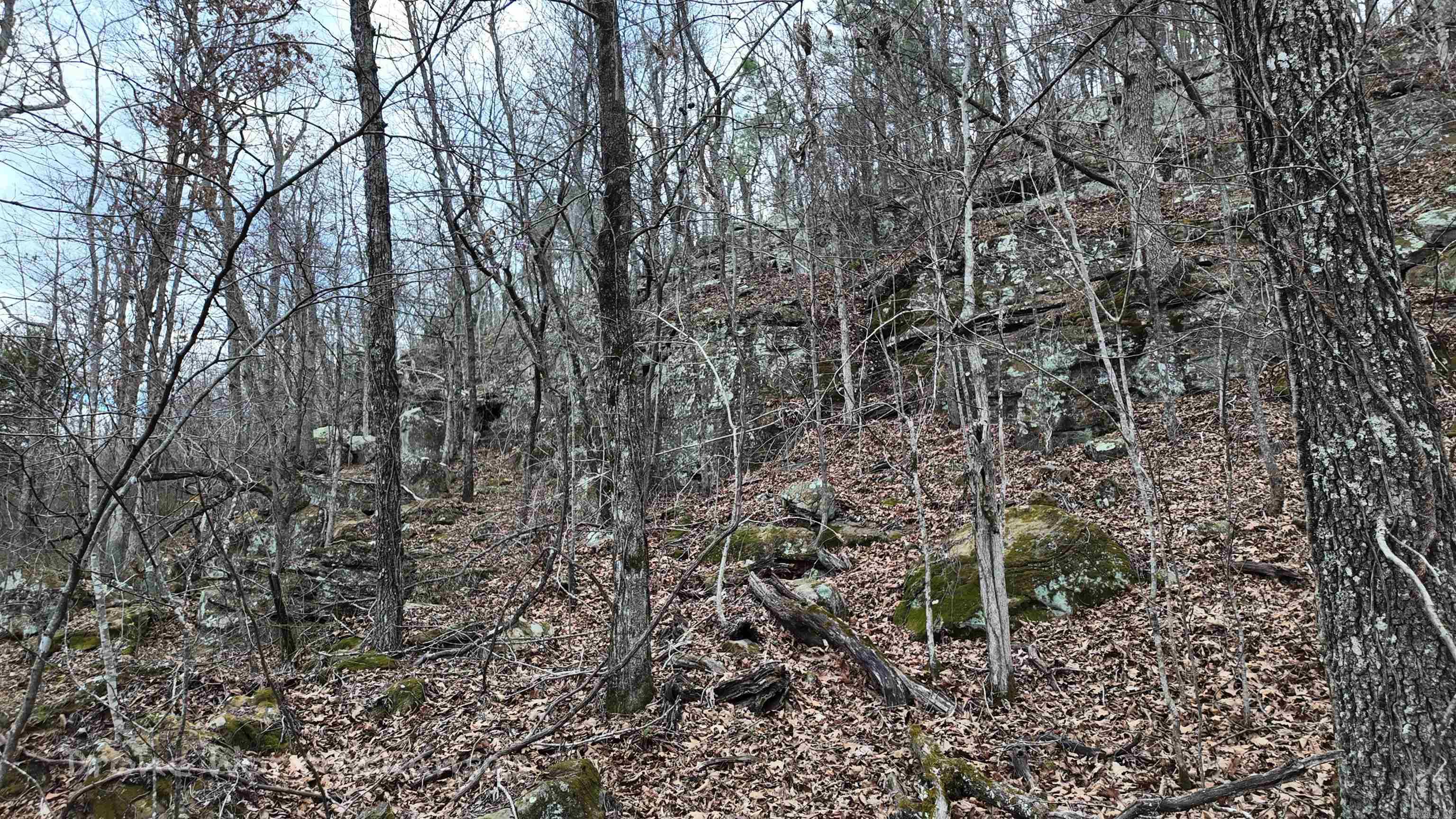 1872 Little Red River  Marshall, AR