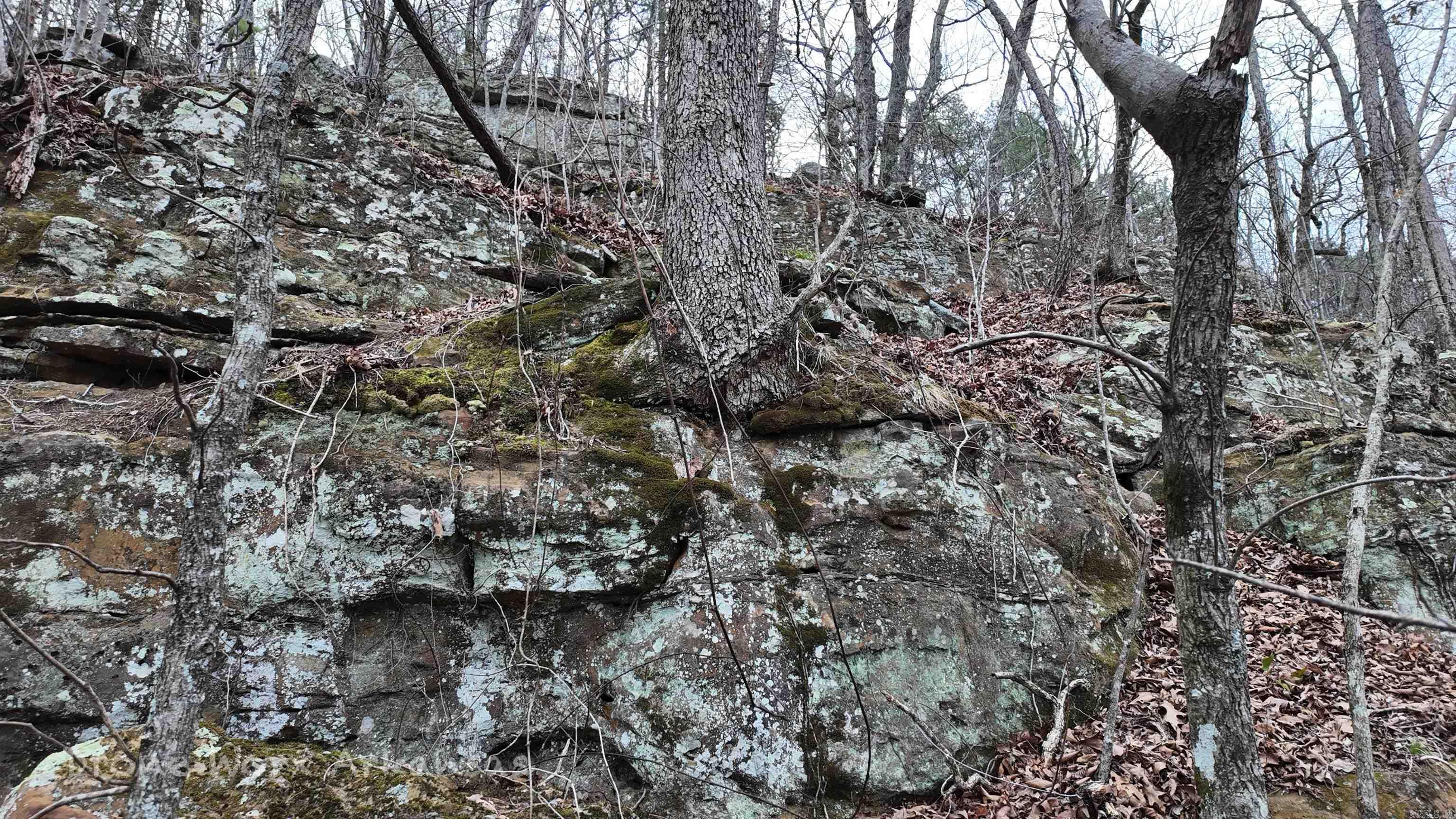 1872 Little Red River  Marshall, AR