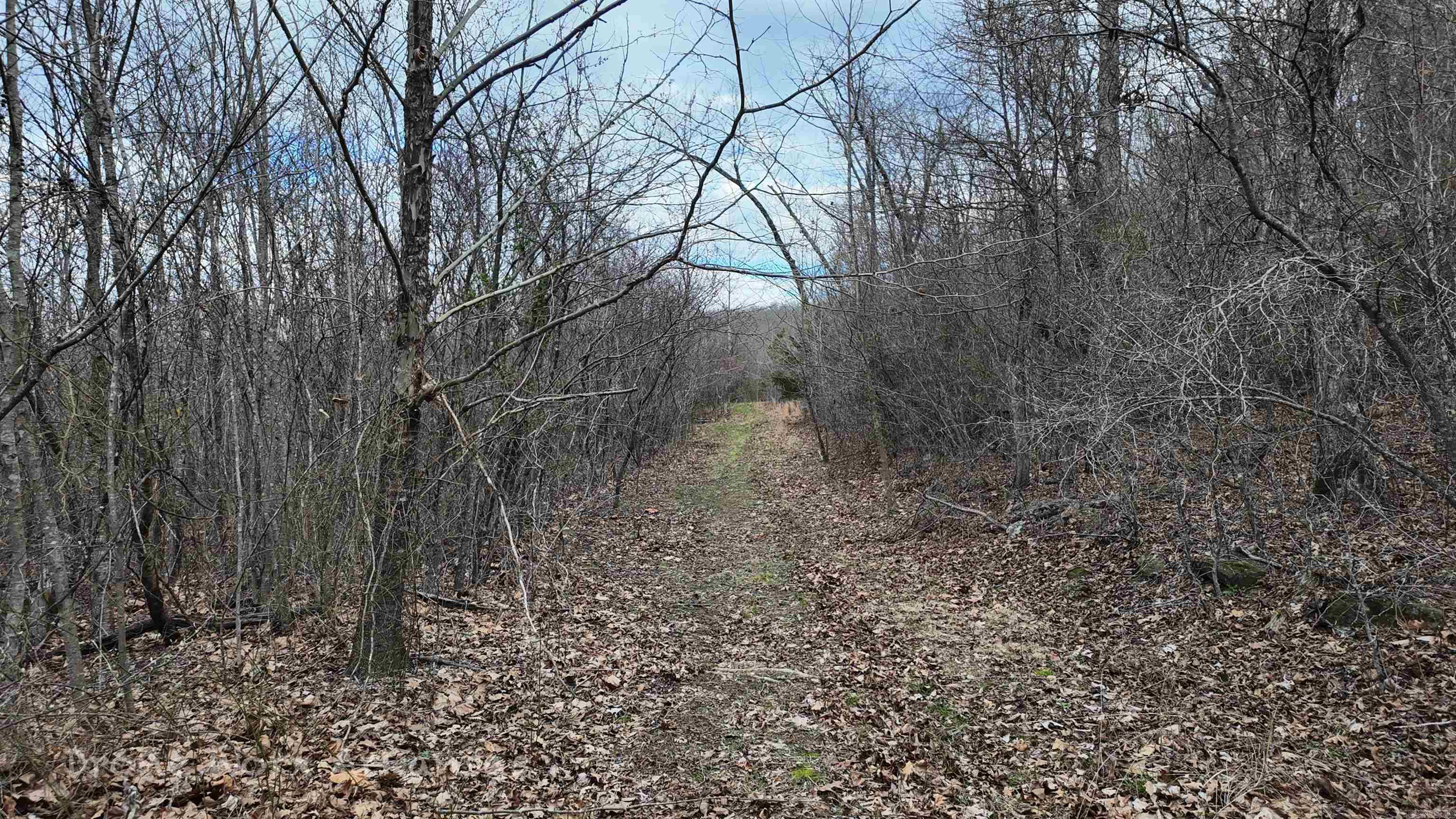 1872 Little Red River  Marshall, AR