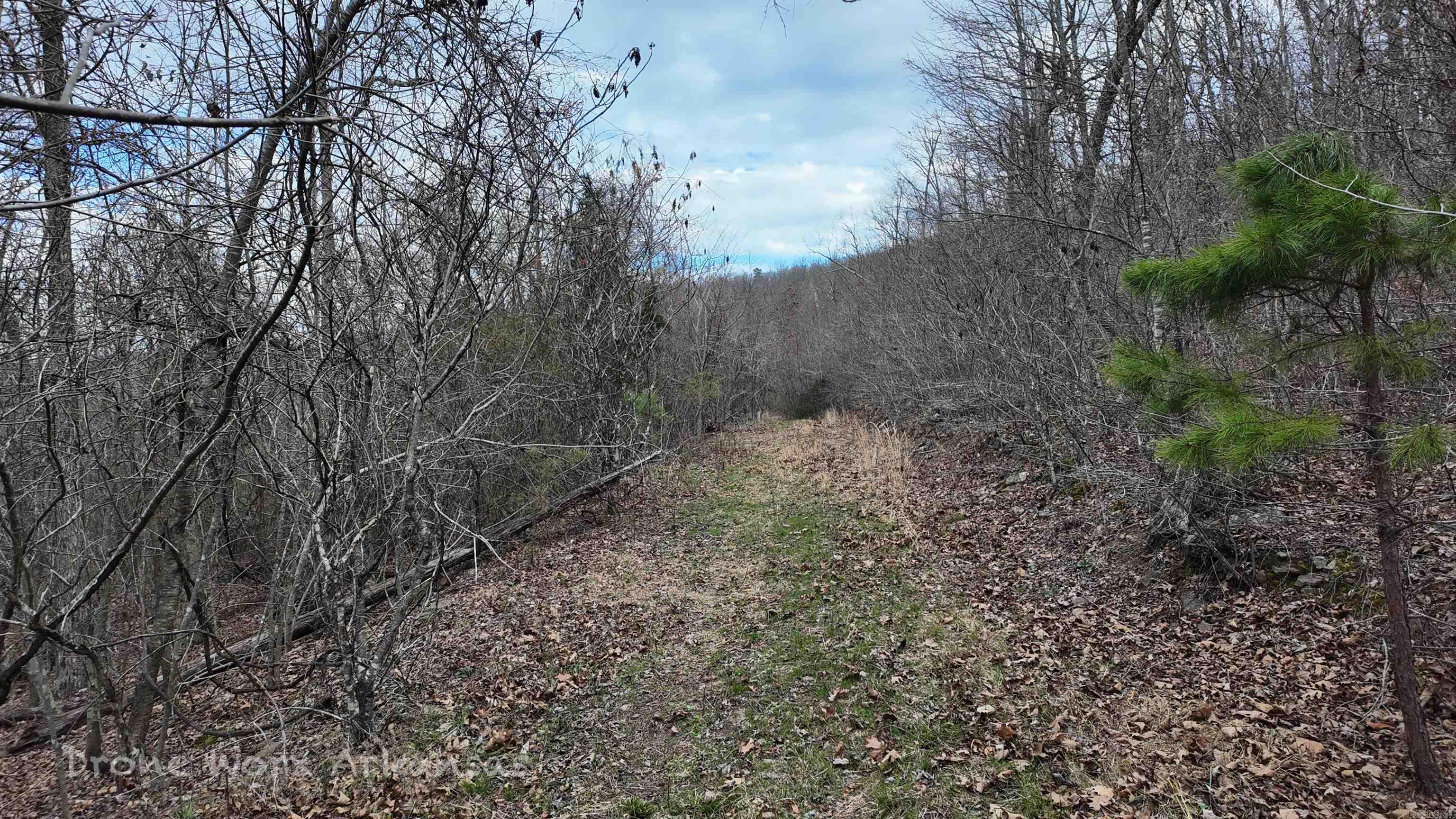 1872 Little Red River  Marshall, AR