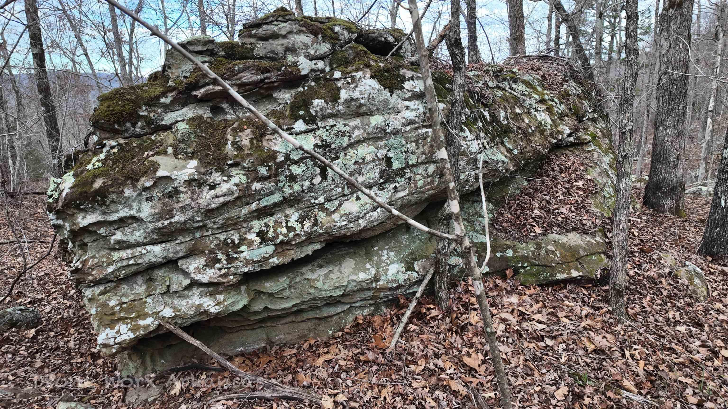 1872 Little Red River  Marshall, AR