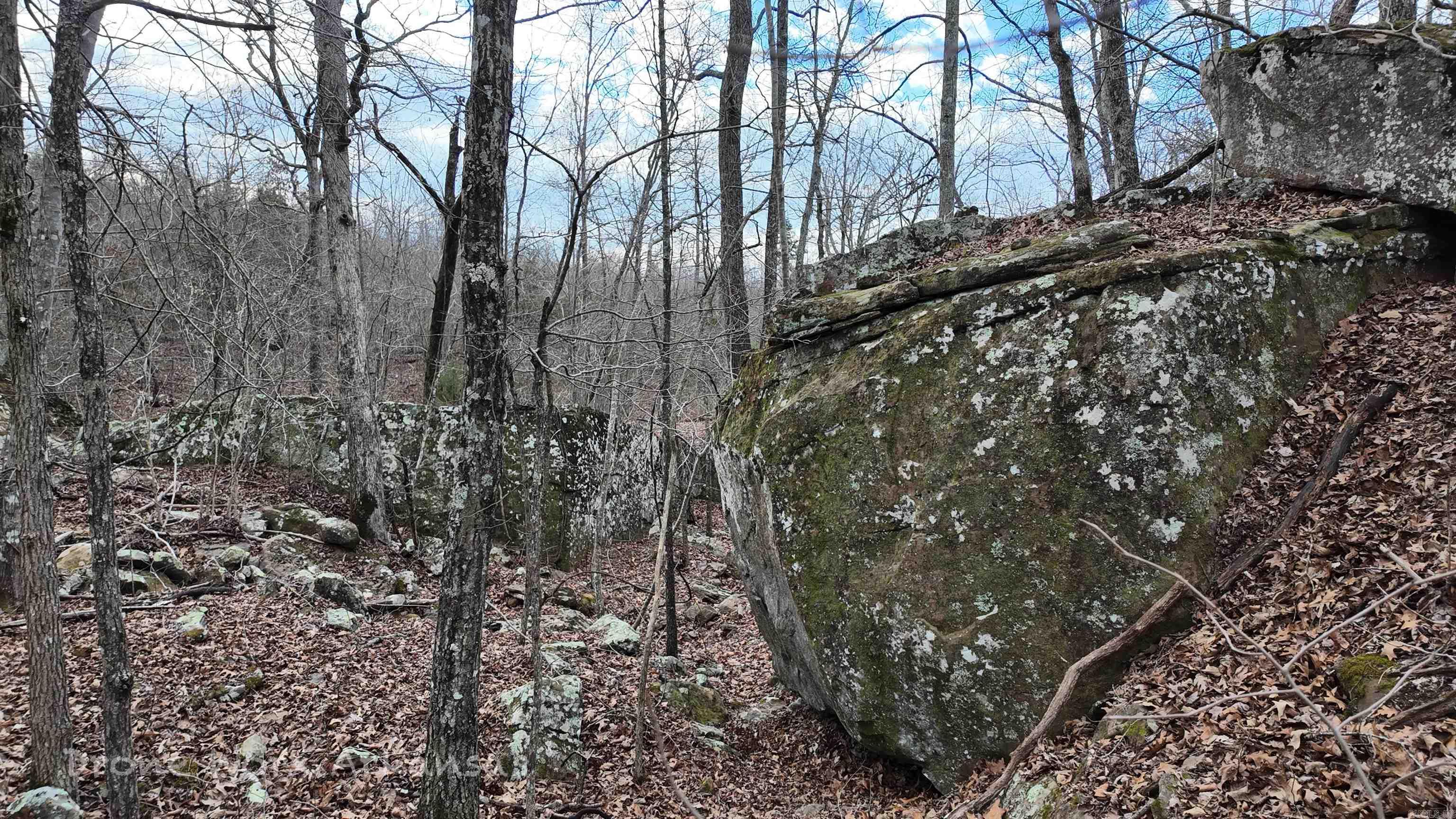 1872 Little Red River  Marshall, AR