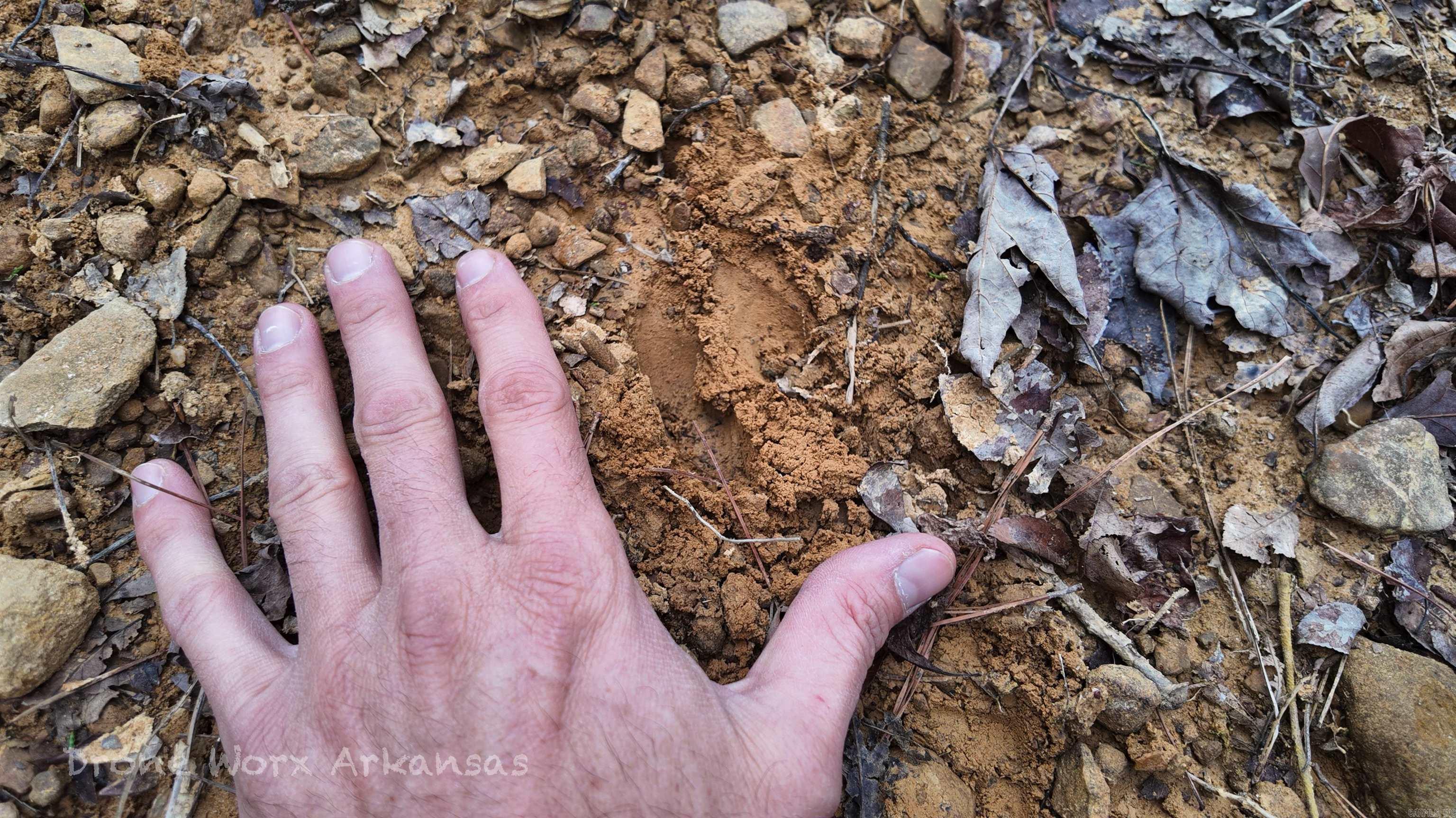 1872 Little Red River  Marshall, AR