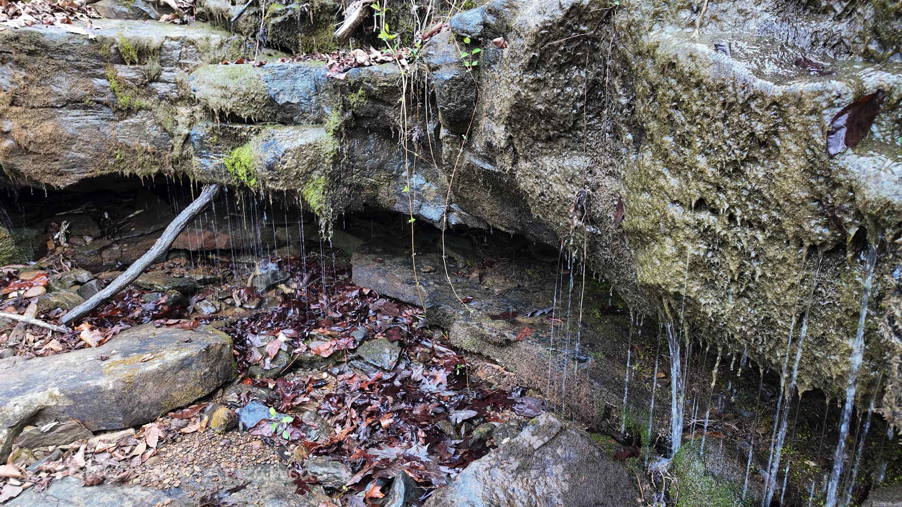 1872 Little Red River  Marshall, AR