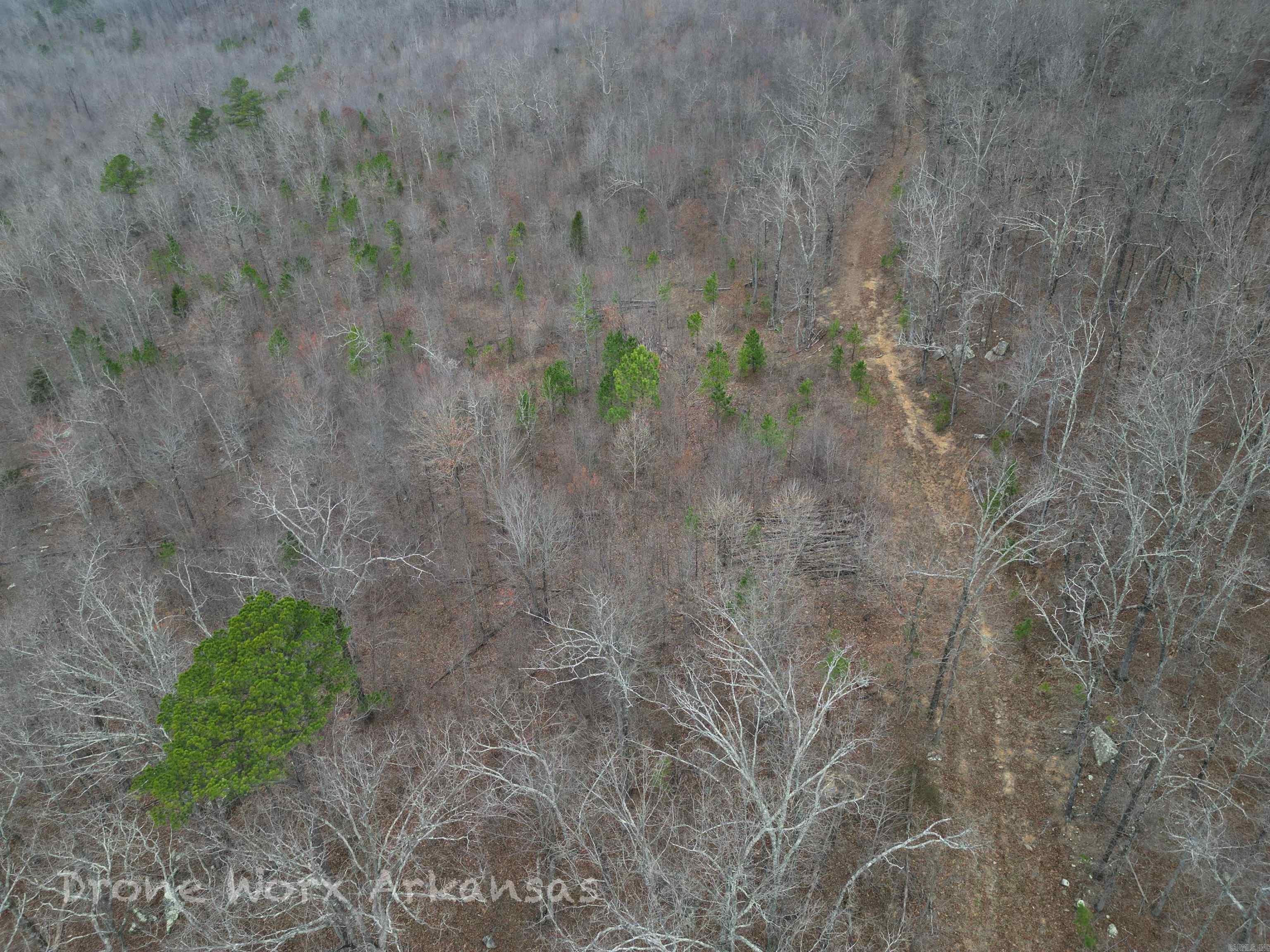 1872 Little Red River  Marshall, AR