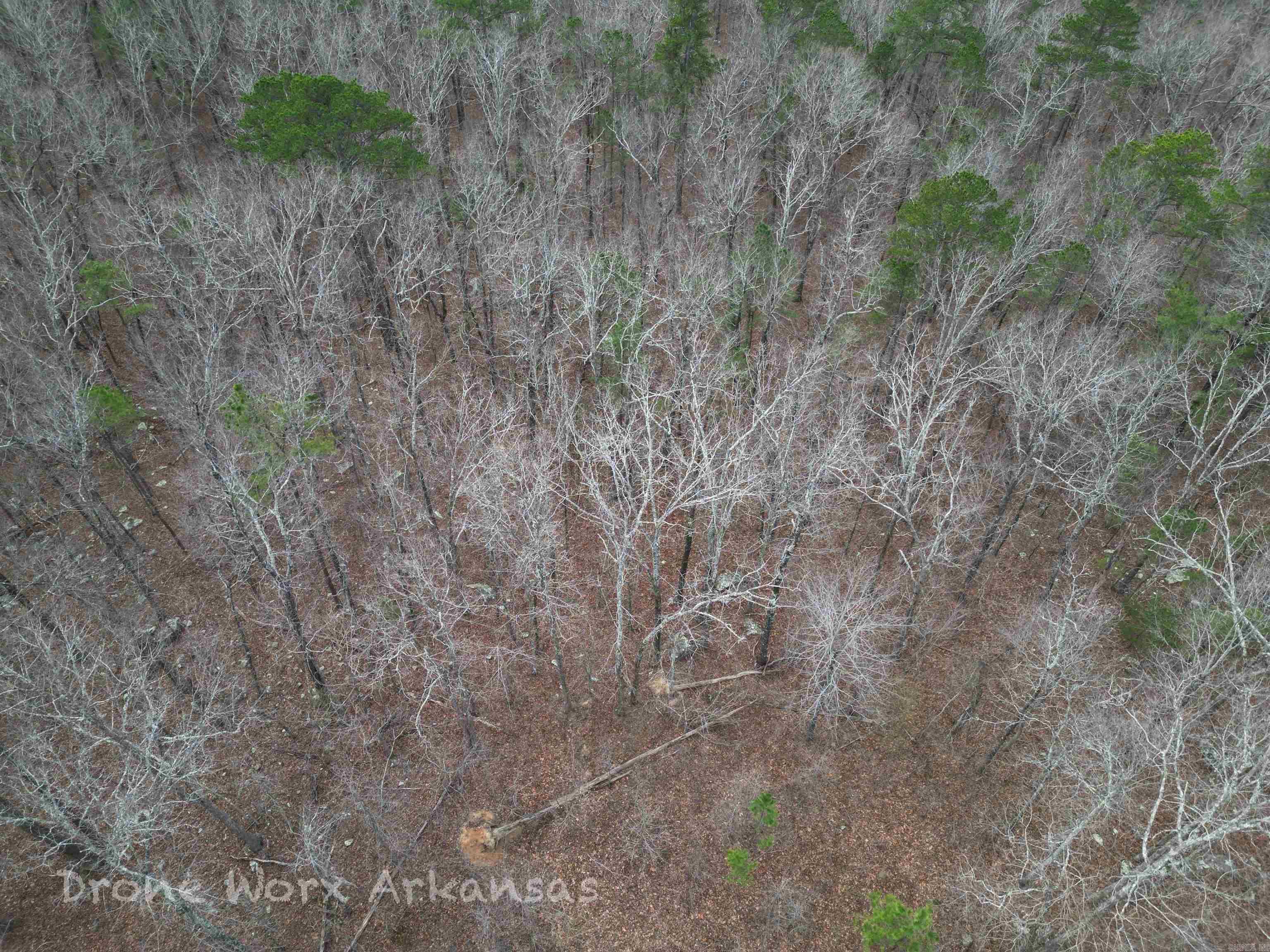 1872 Little Red River  Marshall, AR