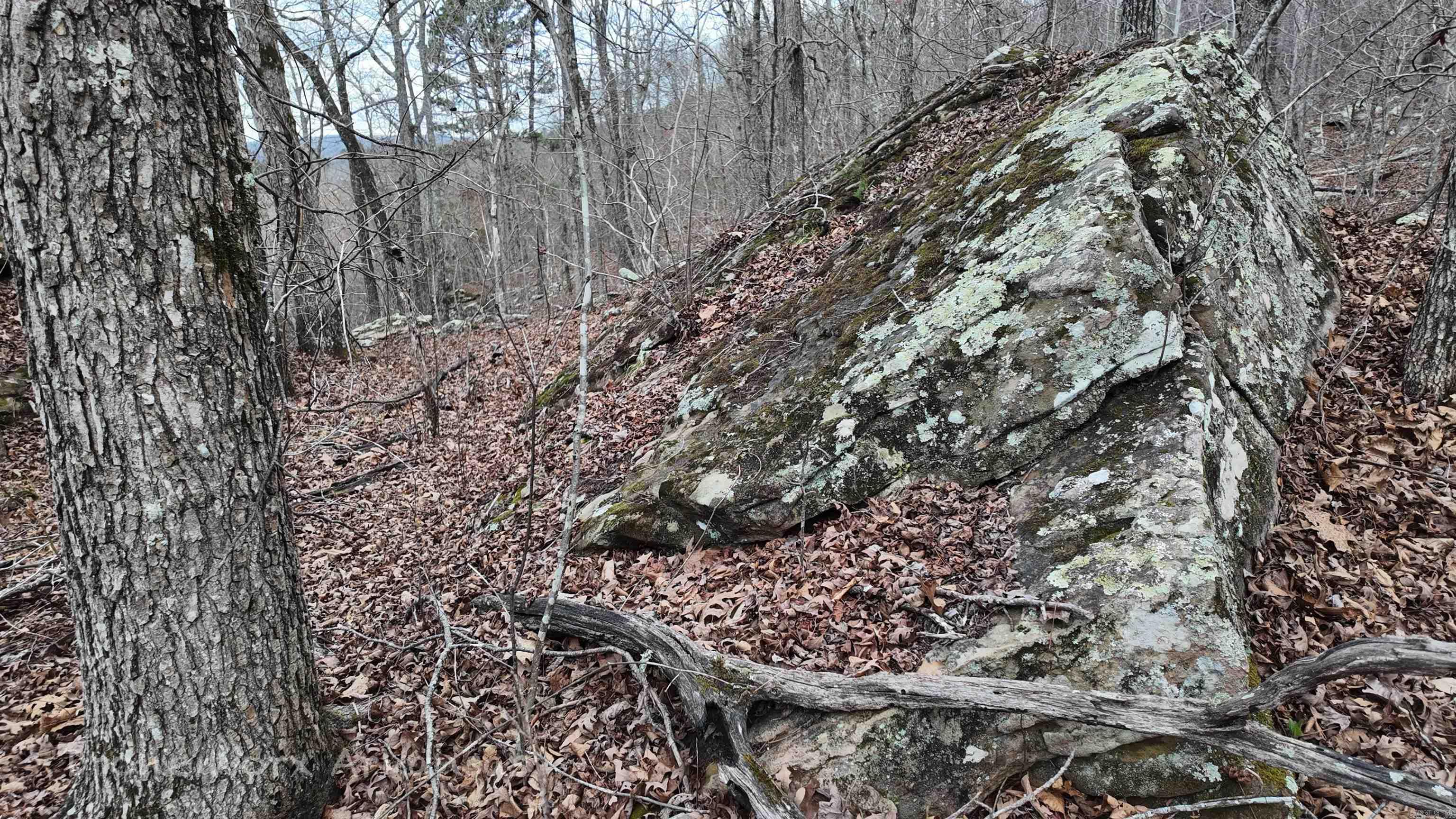 1872 Little Red River  Marshall, AR