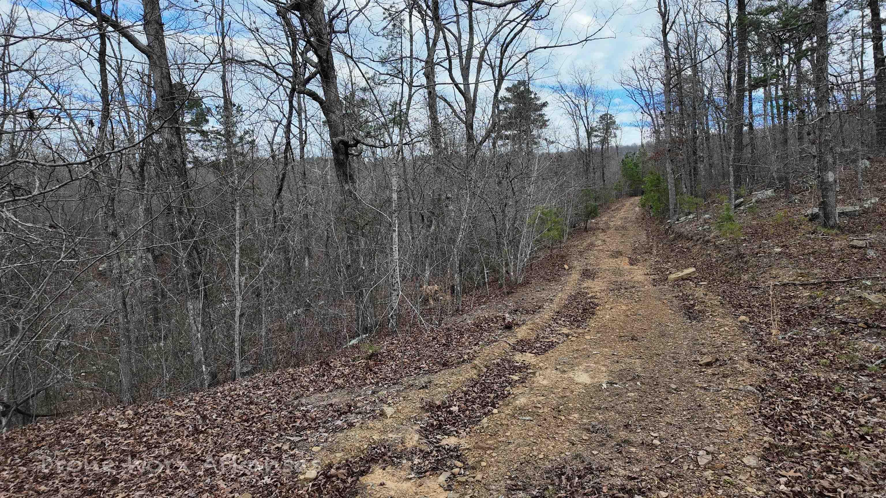 1872 Little Red River  Marshall, AR