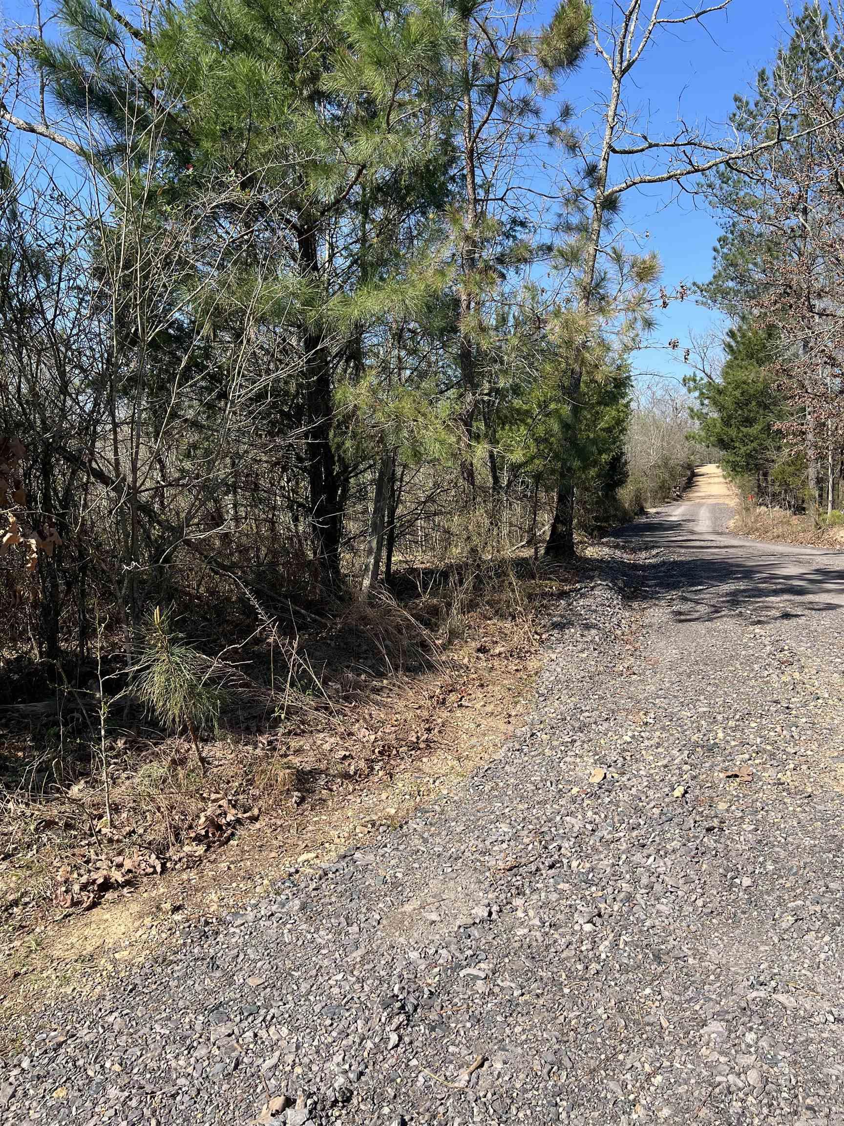 xx John Ashley  Murfreesboro, AR