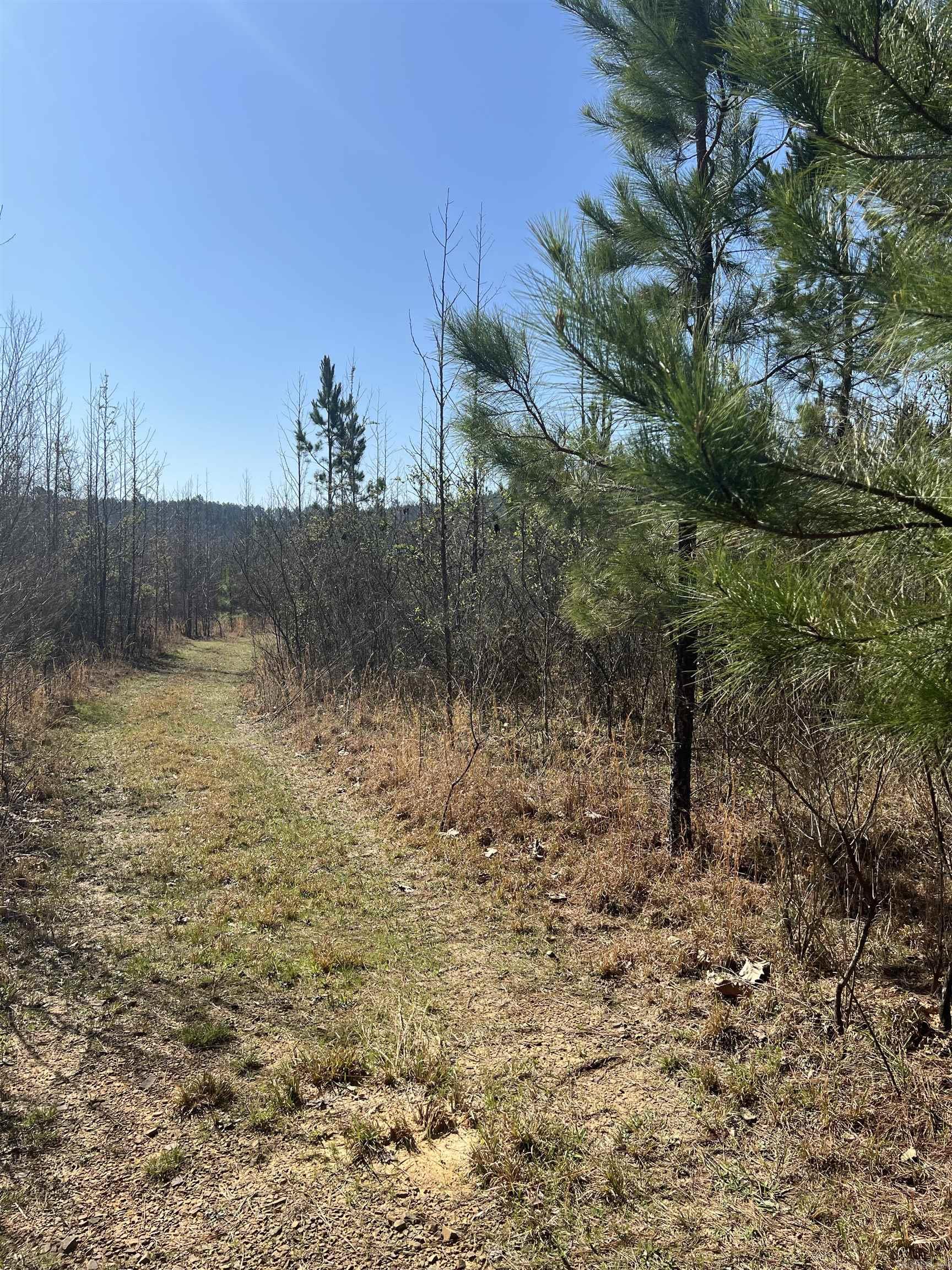 xx John Ashley  Murfreesboro, AR