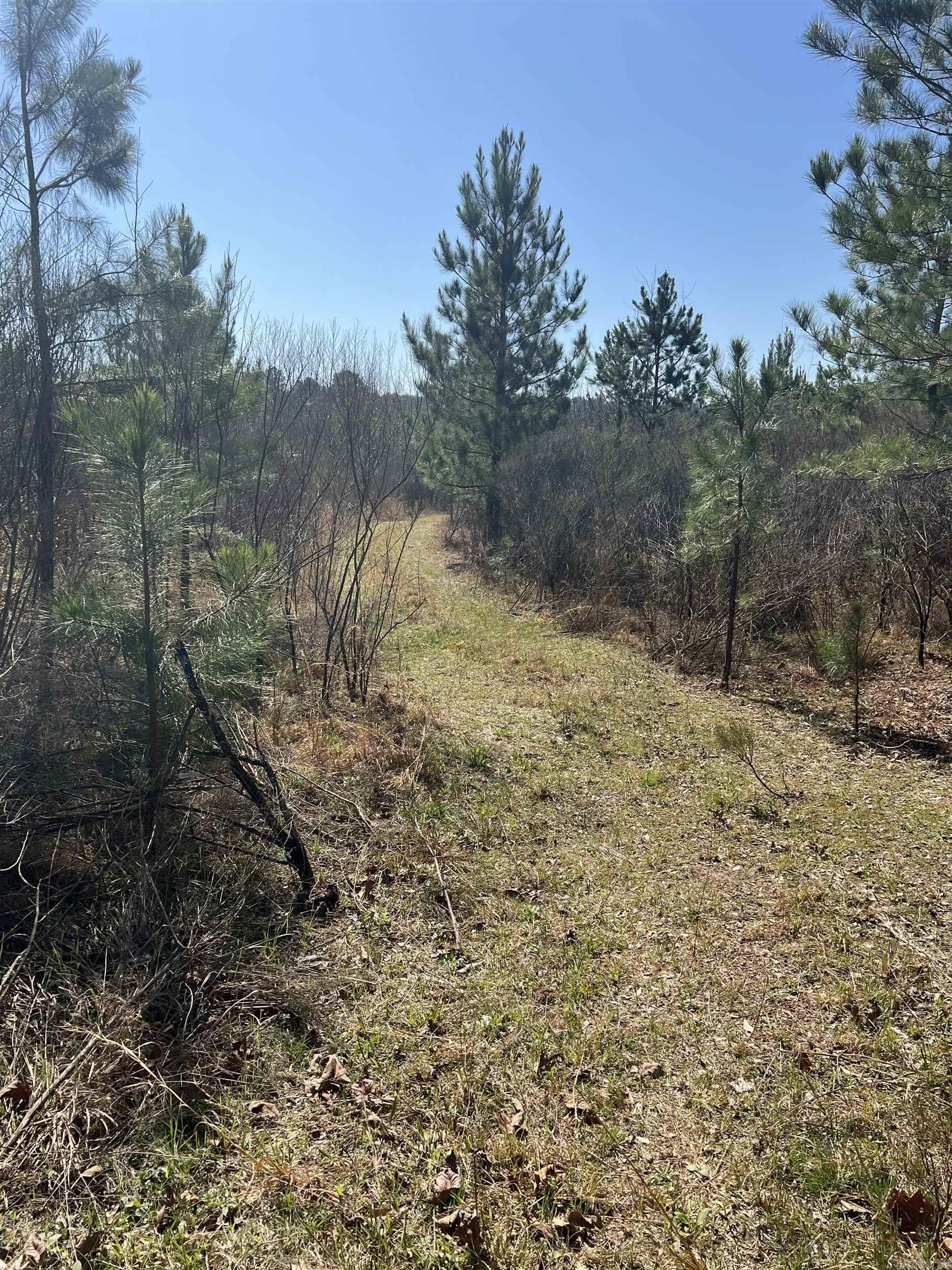 xx John Ashley  Murfreesboro, AR