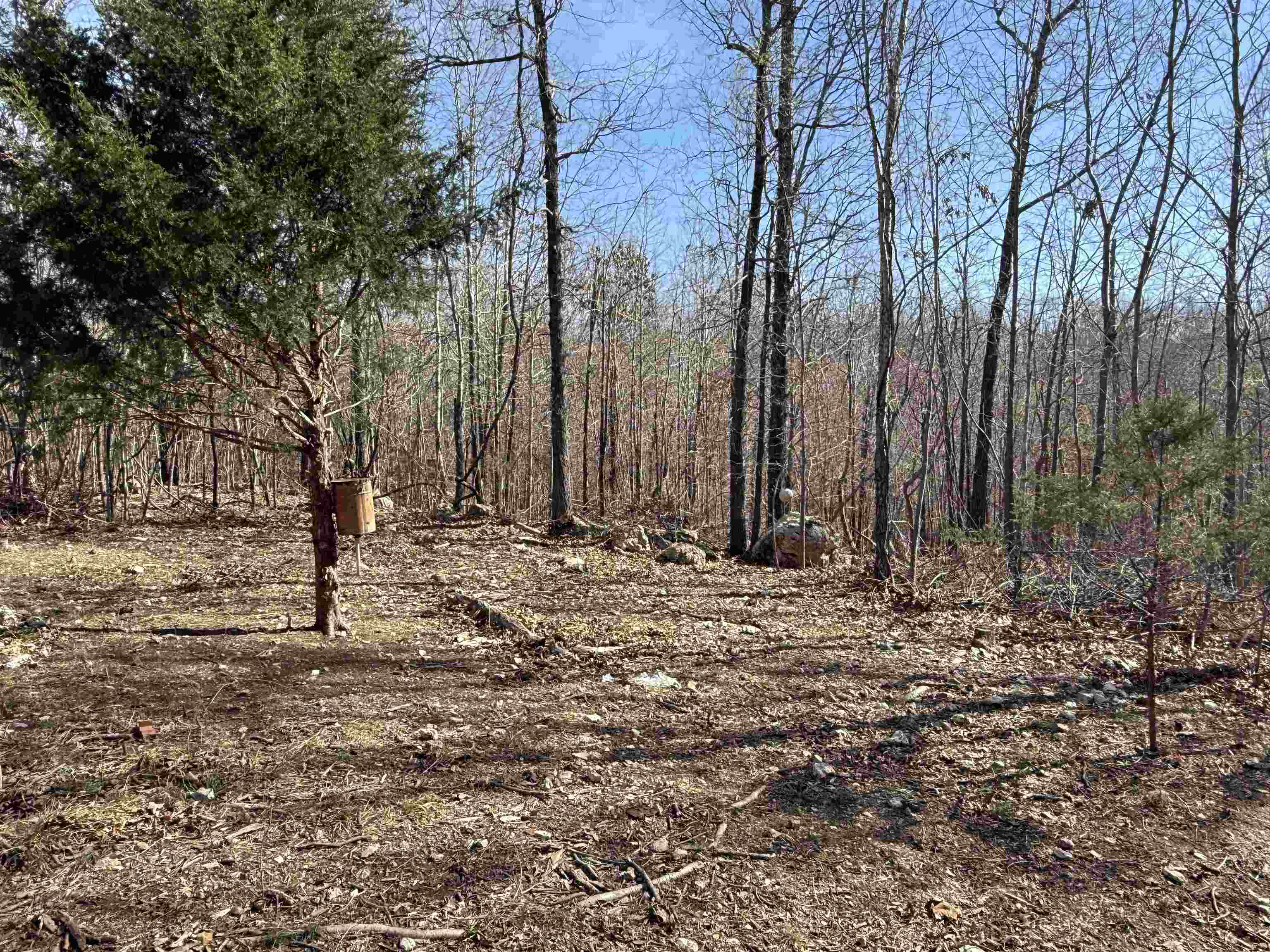 1170 Many Islands  Mammoth Spring, AR