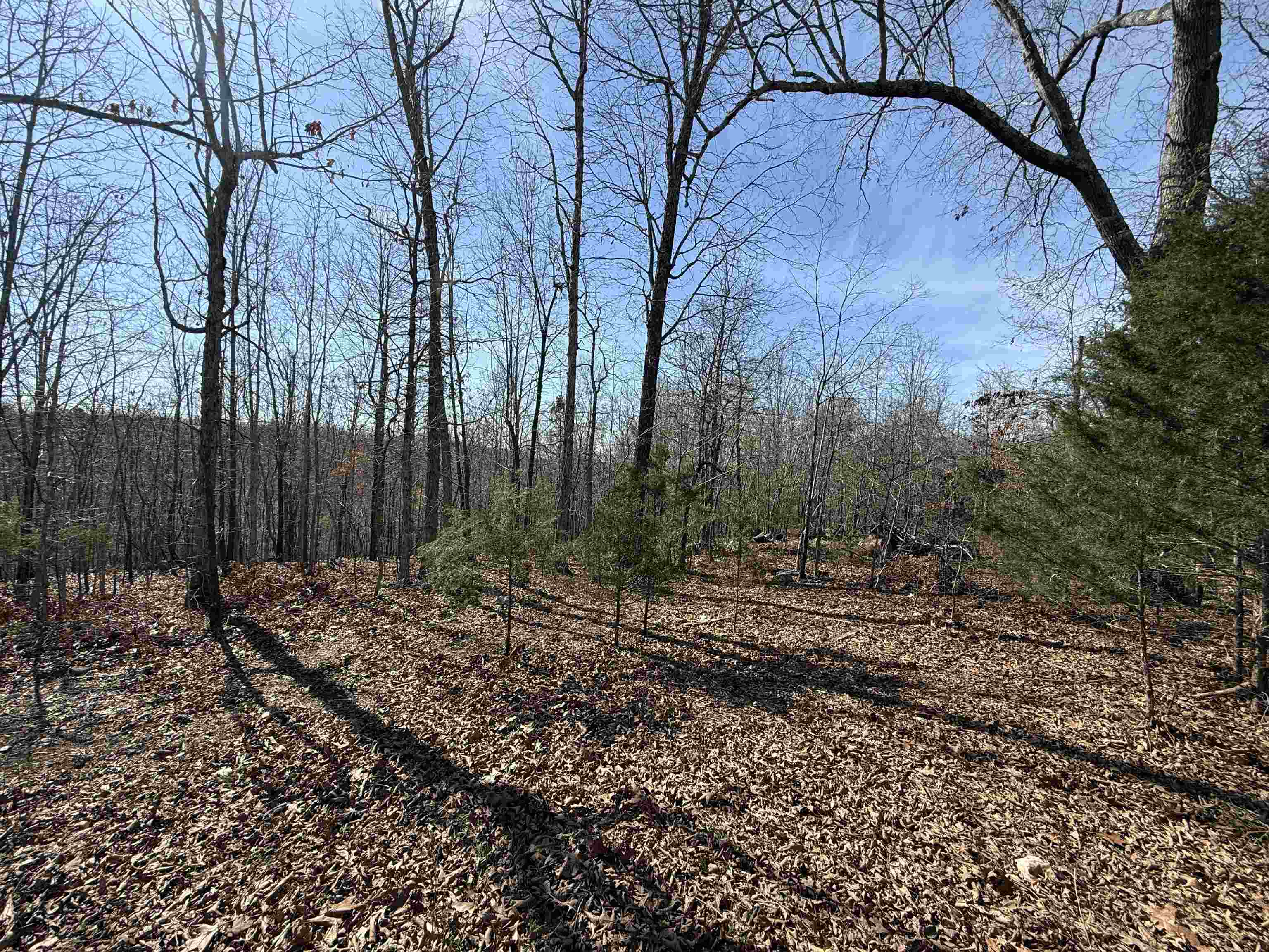 1170 Many Islands  Mammoth Spring, AR