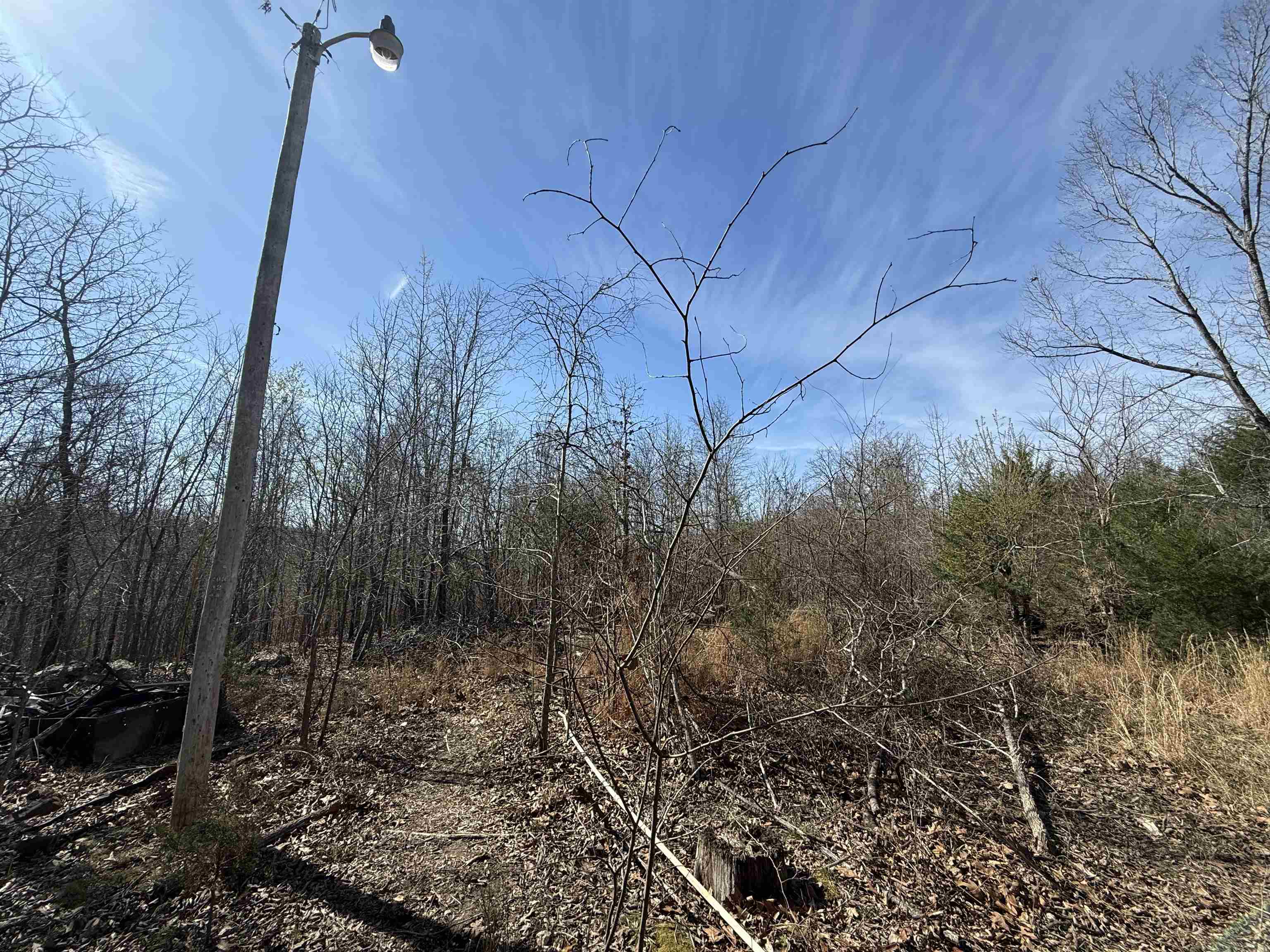 1170 Many Islands  Mammoth Spring, AR