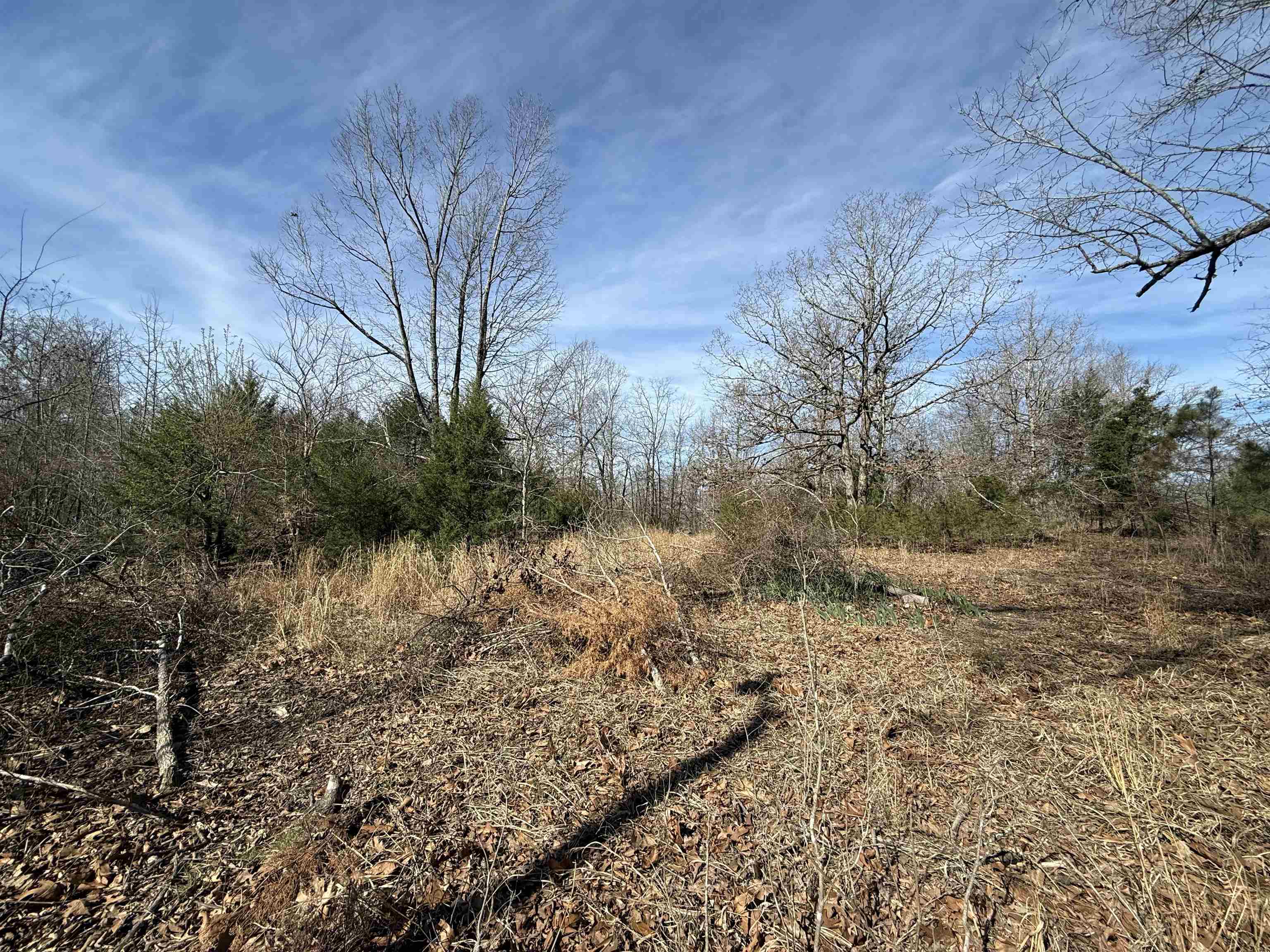 1170 Many Islands  Mammoth Spring, AR