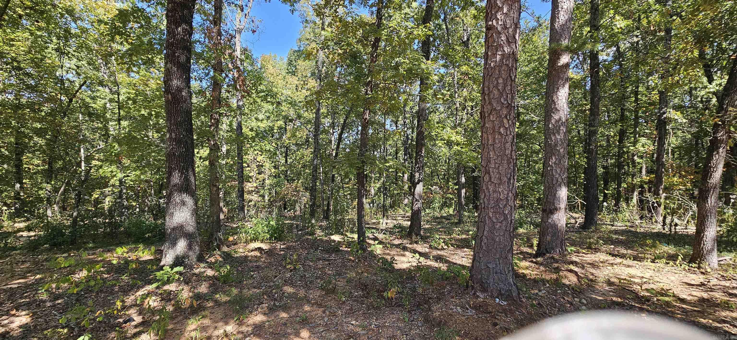 229 Elmbrook Lane  Yellville, AR