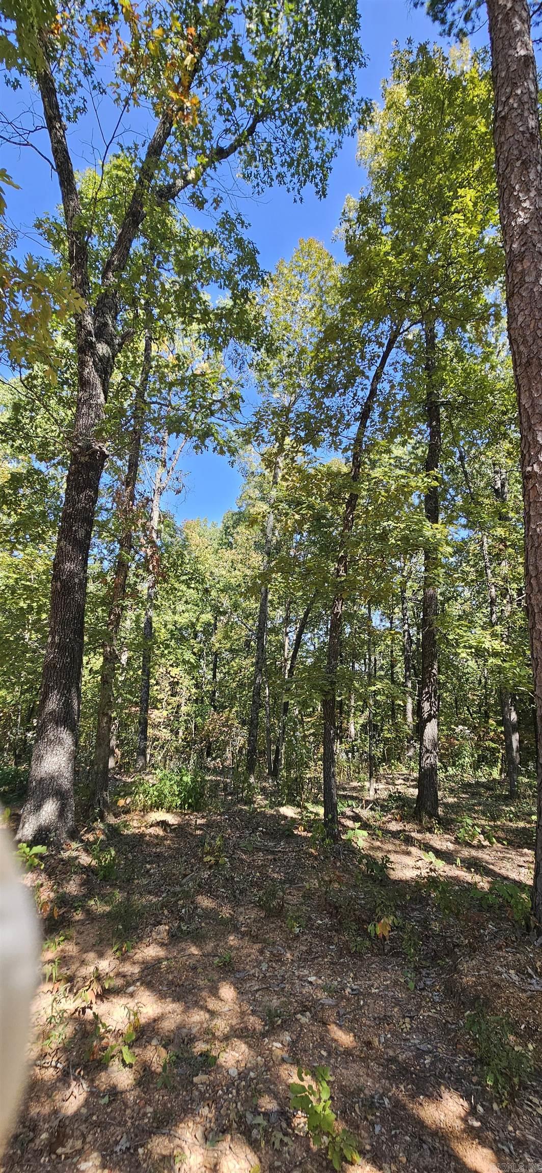 229 Elmbrook Lane  Yellville, AR