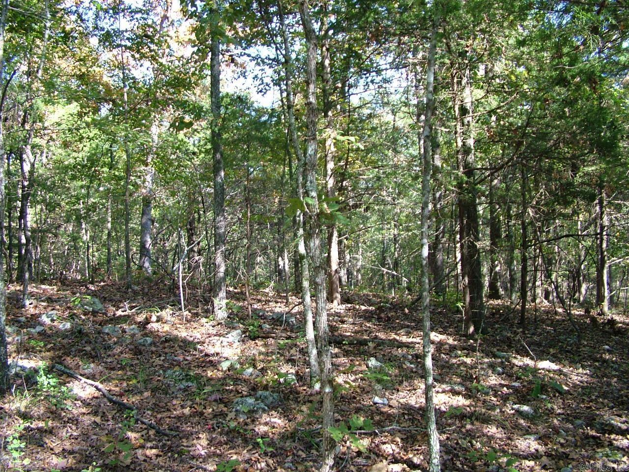 001-00225-001 MC 6062  Flippin, AR