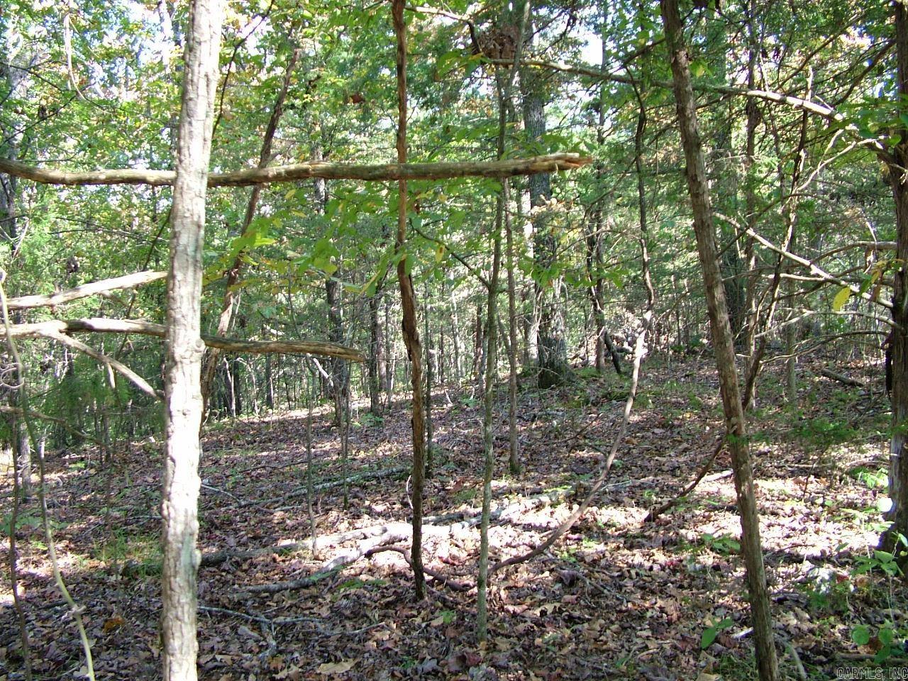 001-00225-001 MC 6062  Flippin, AR