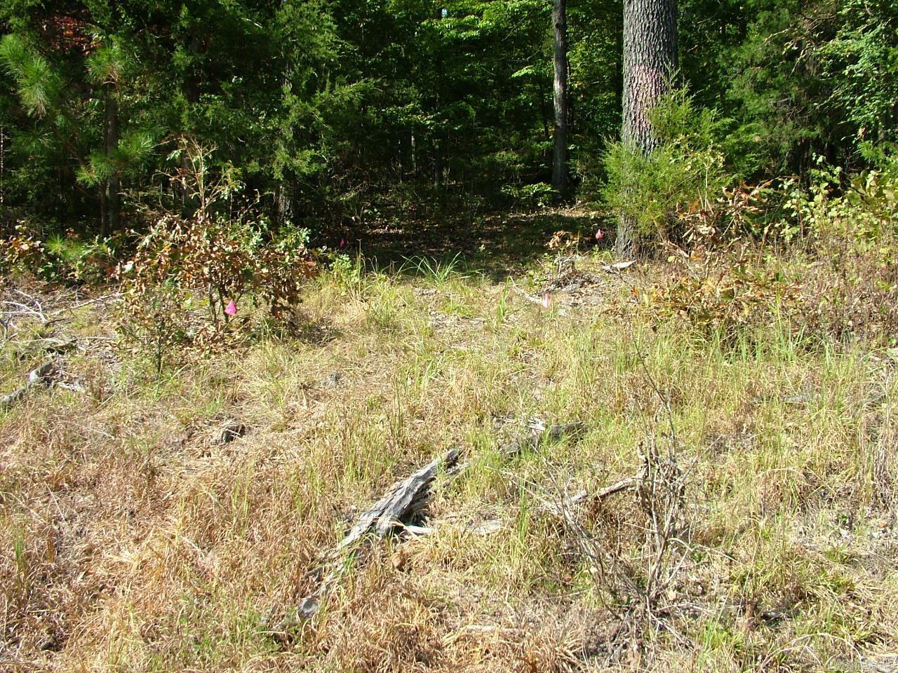 001-00225-001 MC 6062  Flippin, AR