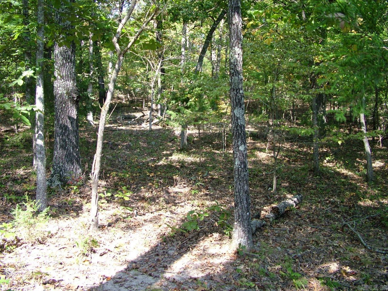 001-00225-001 MC 6062  Flippin, AR