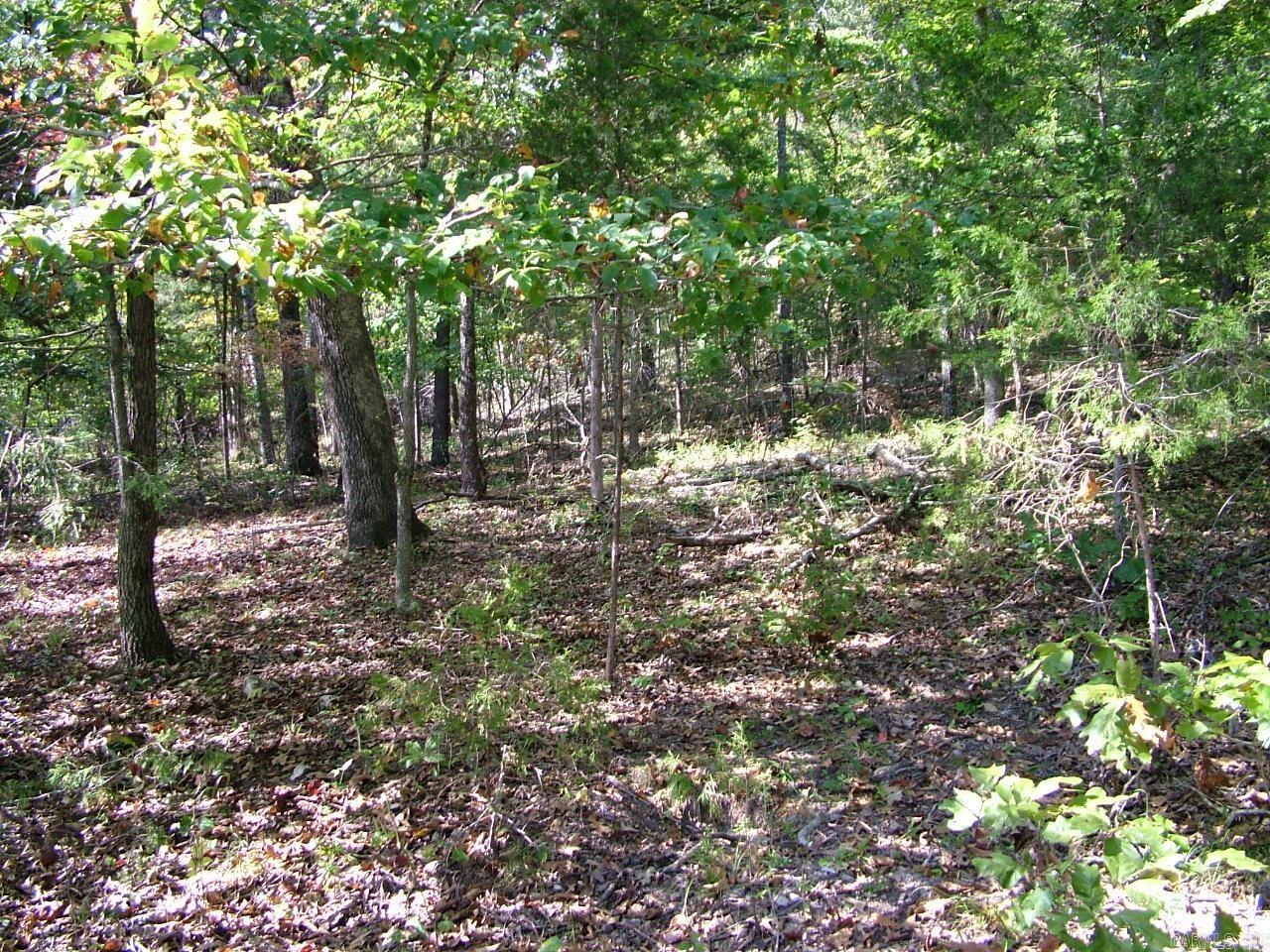 001-00225-001 MC 6062  Flippin, AR