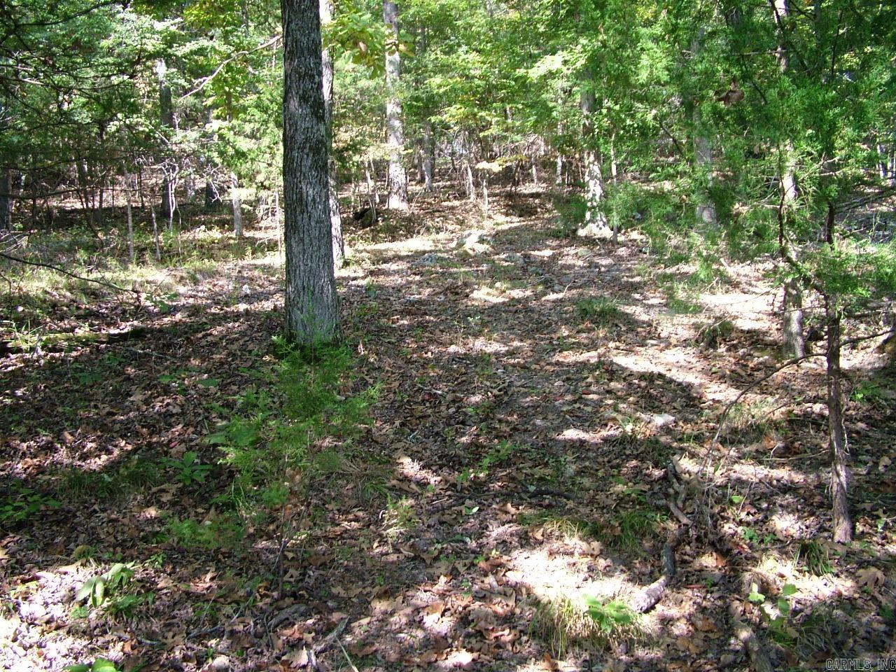 001-00225-001 MC 6062  Flippin, AR