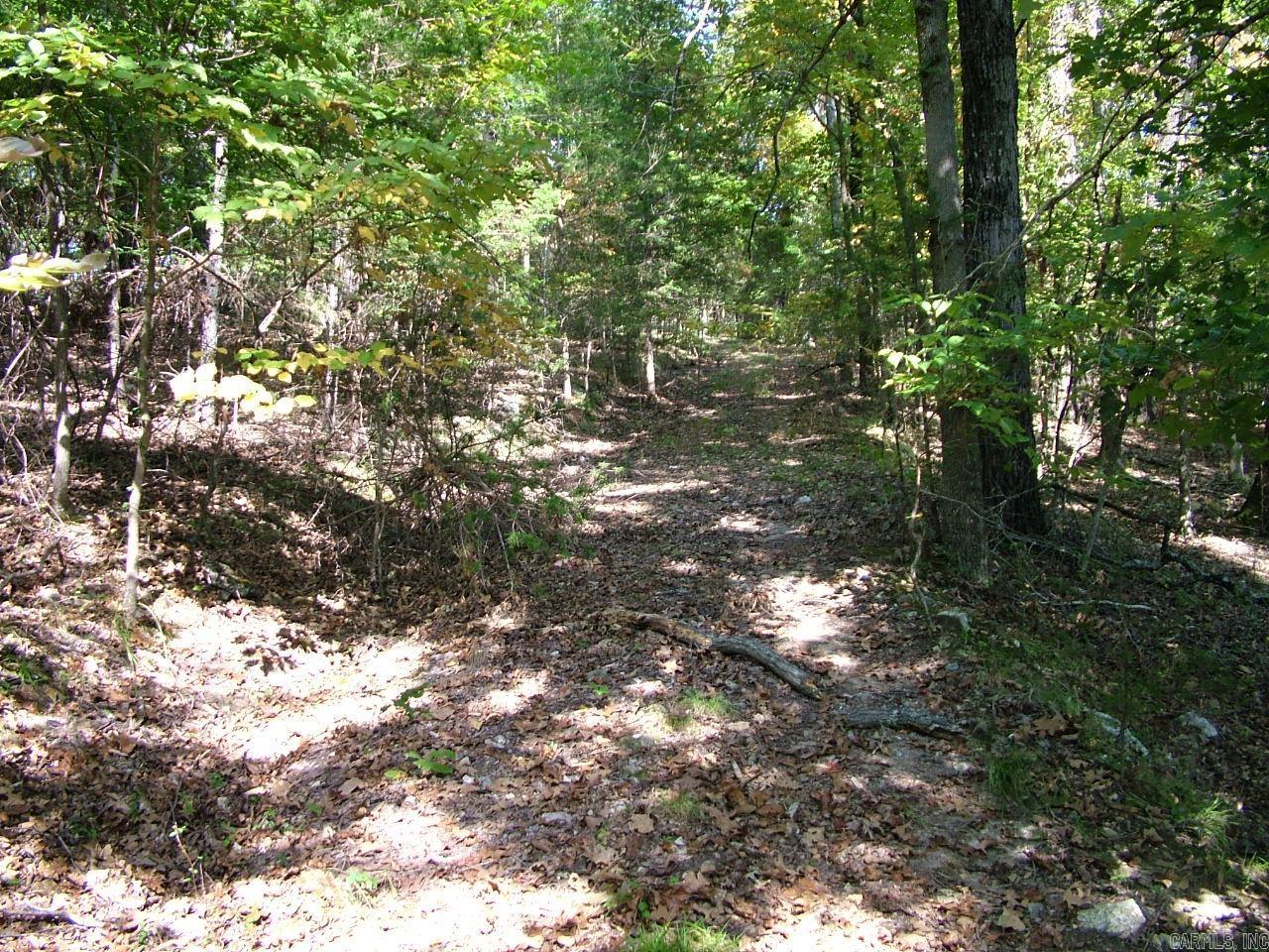 001-00225-001 MC 6062  Flippin, AR