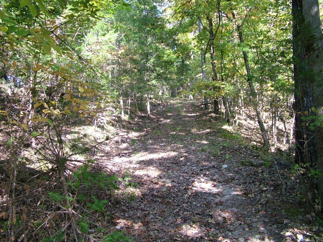 001-00225-001 MC 6062  Flippin, AR