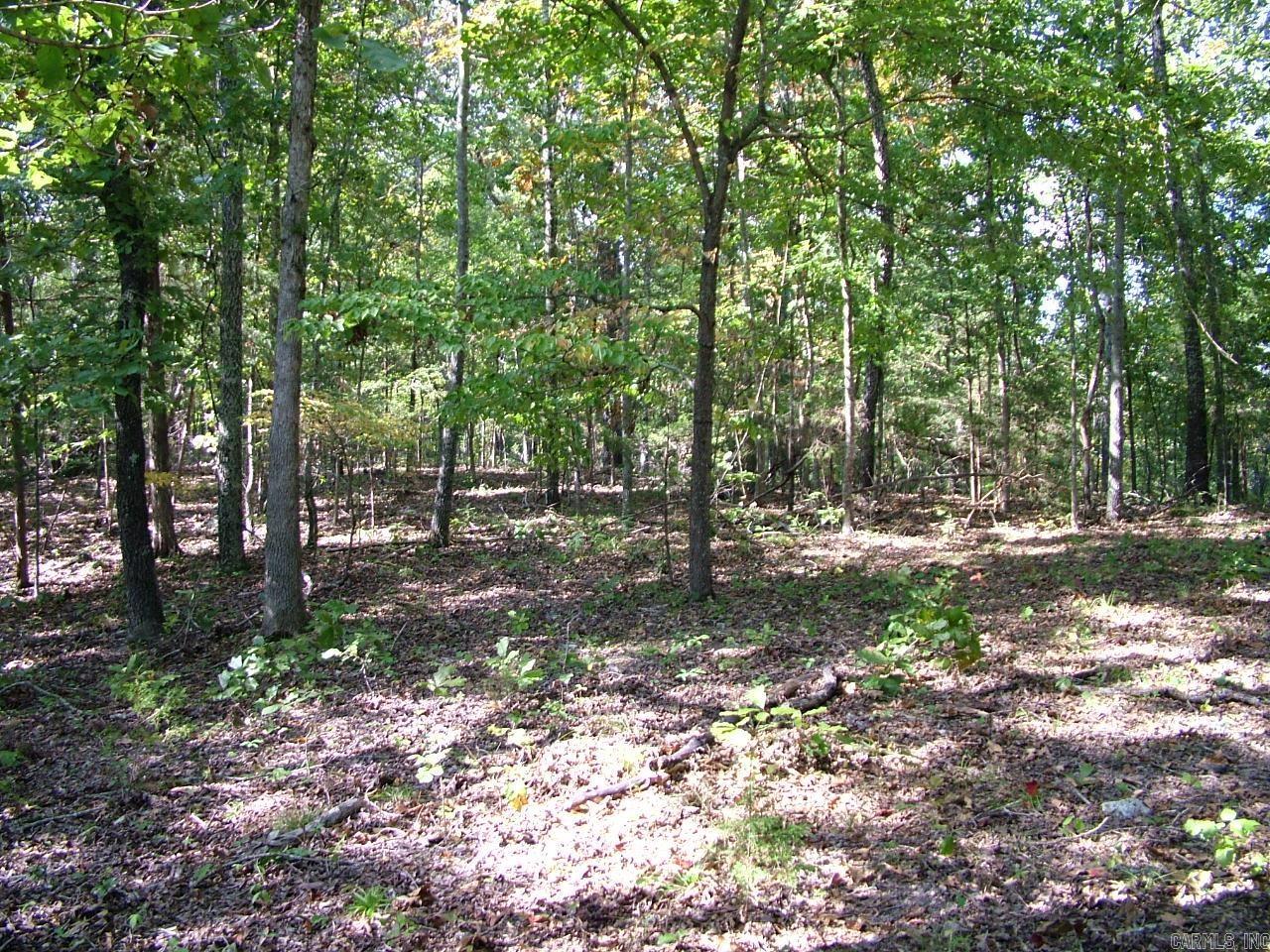 001-00225-001 MC 6062  Flippin, AR