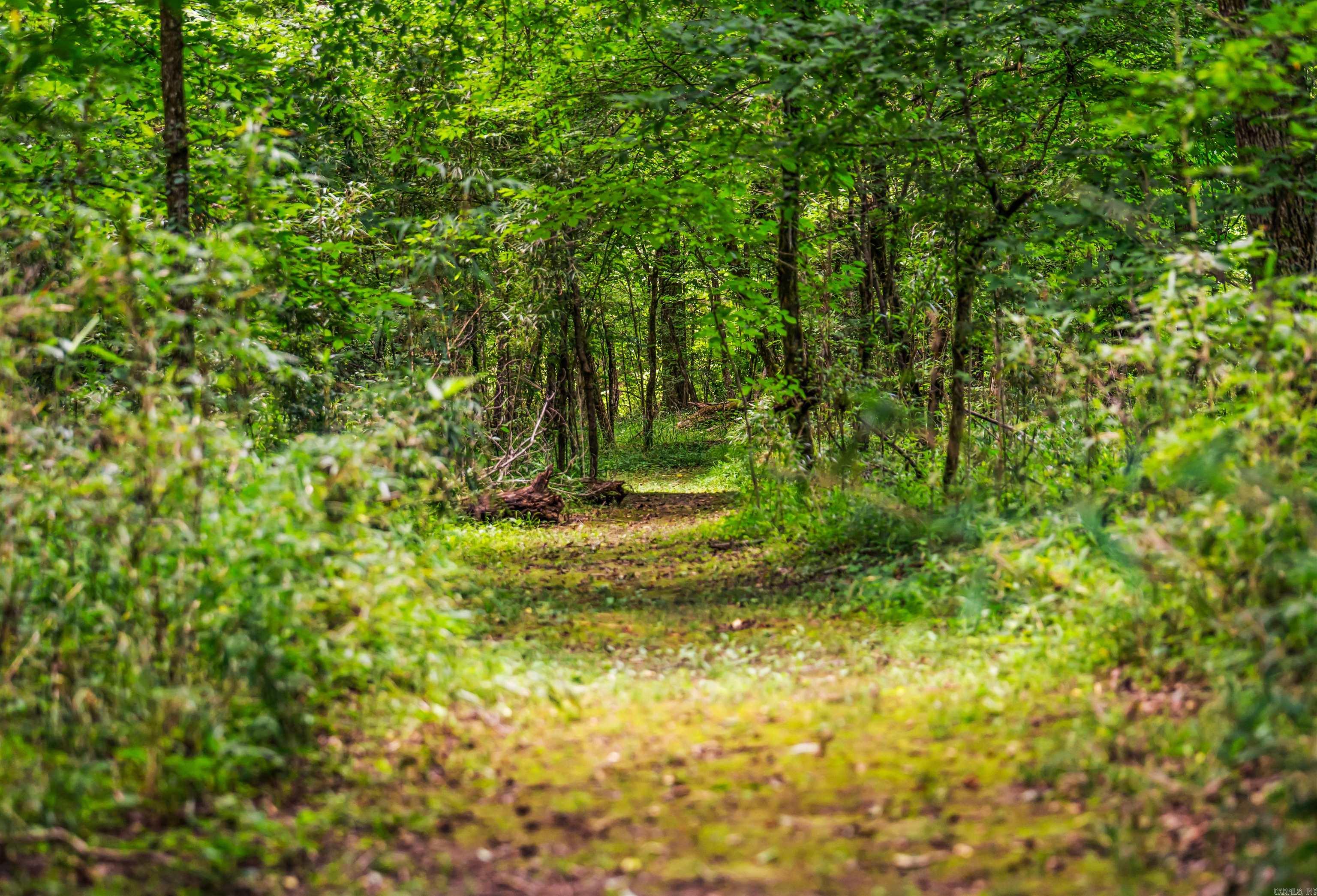 454 Clubhill  Jessieville, AR