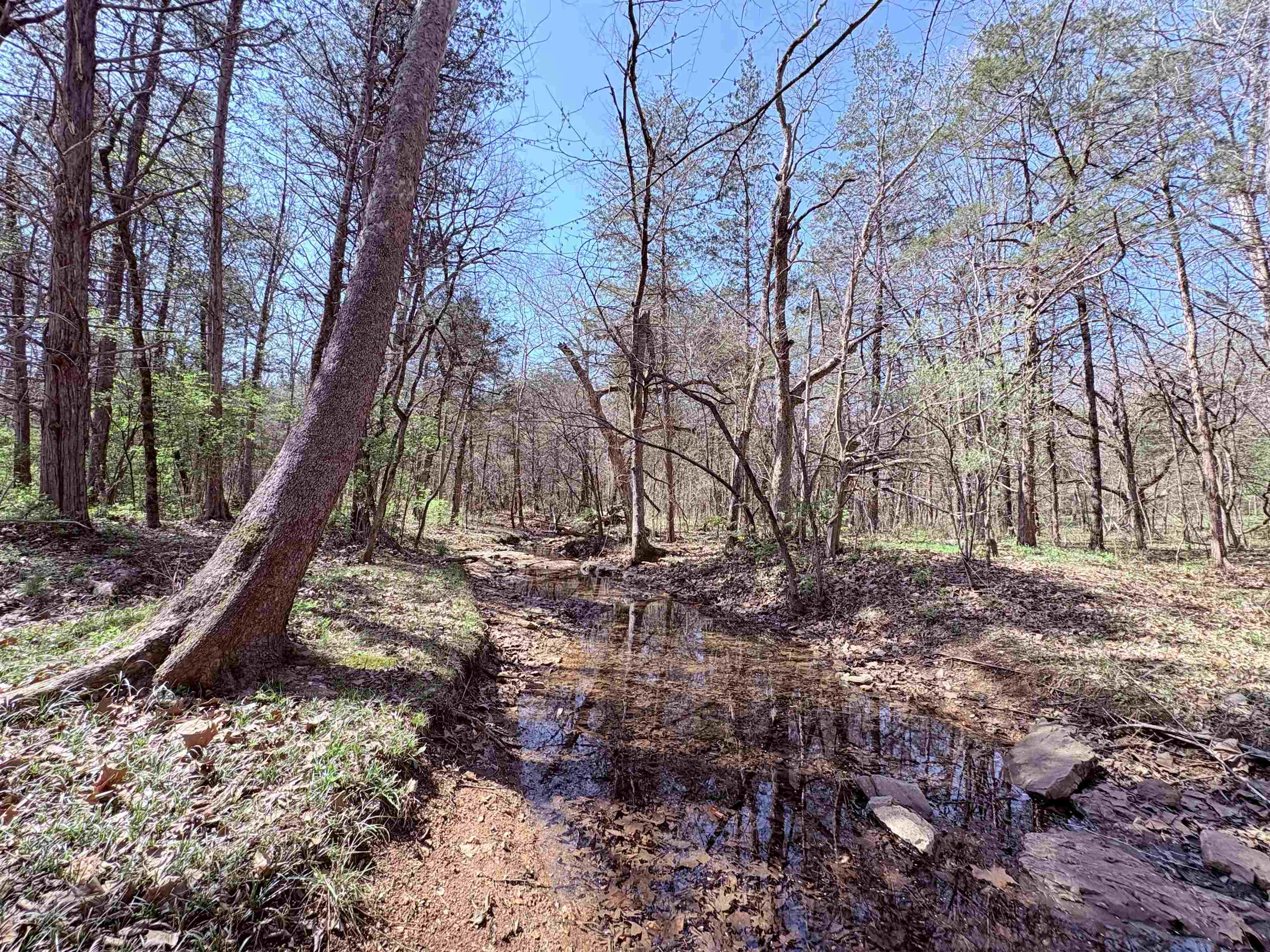 161 Cherokee  Cherokee Village, AR