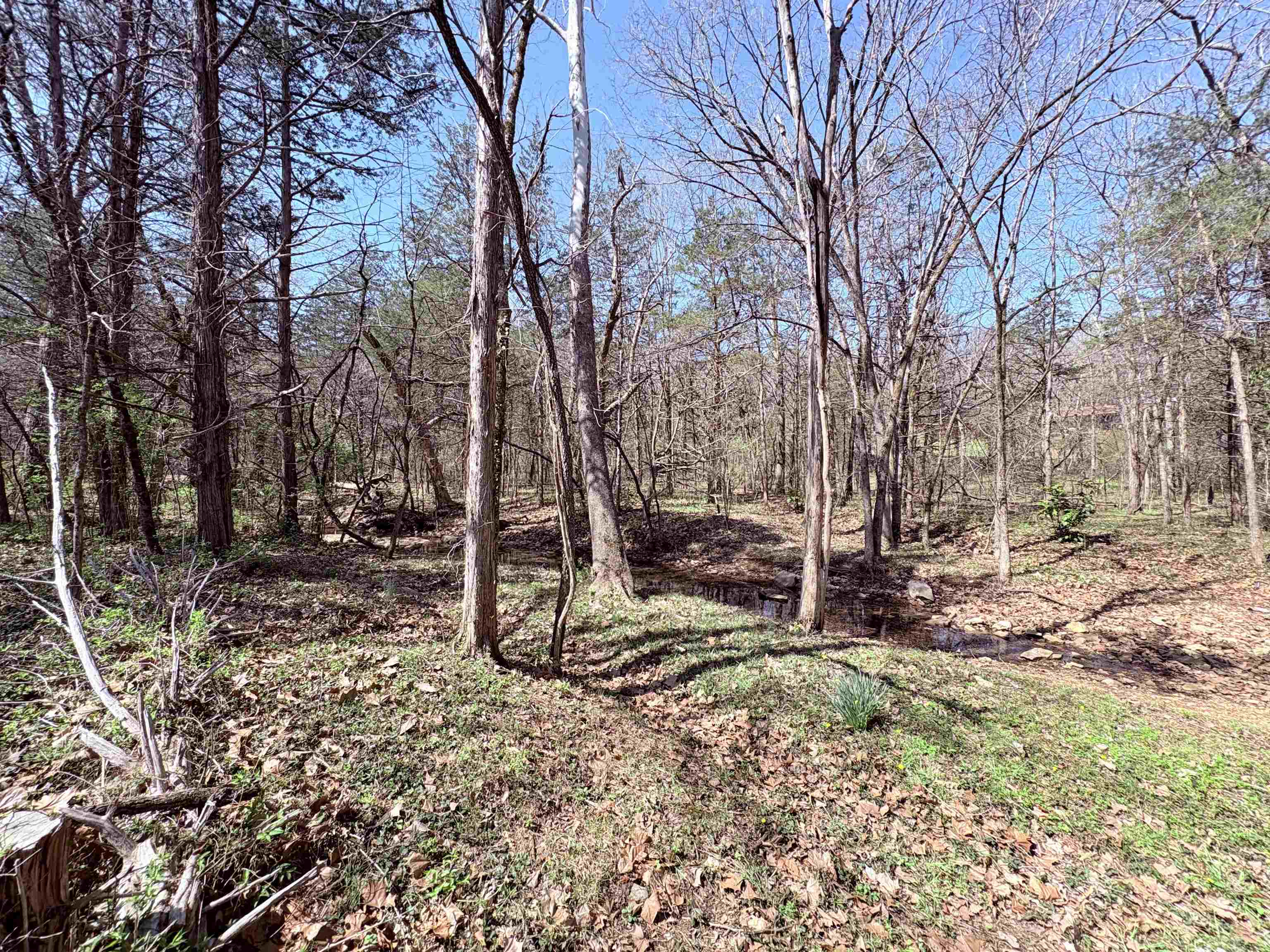 161 Cherokee  Cherokee Village, AR