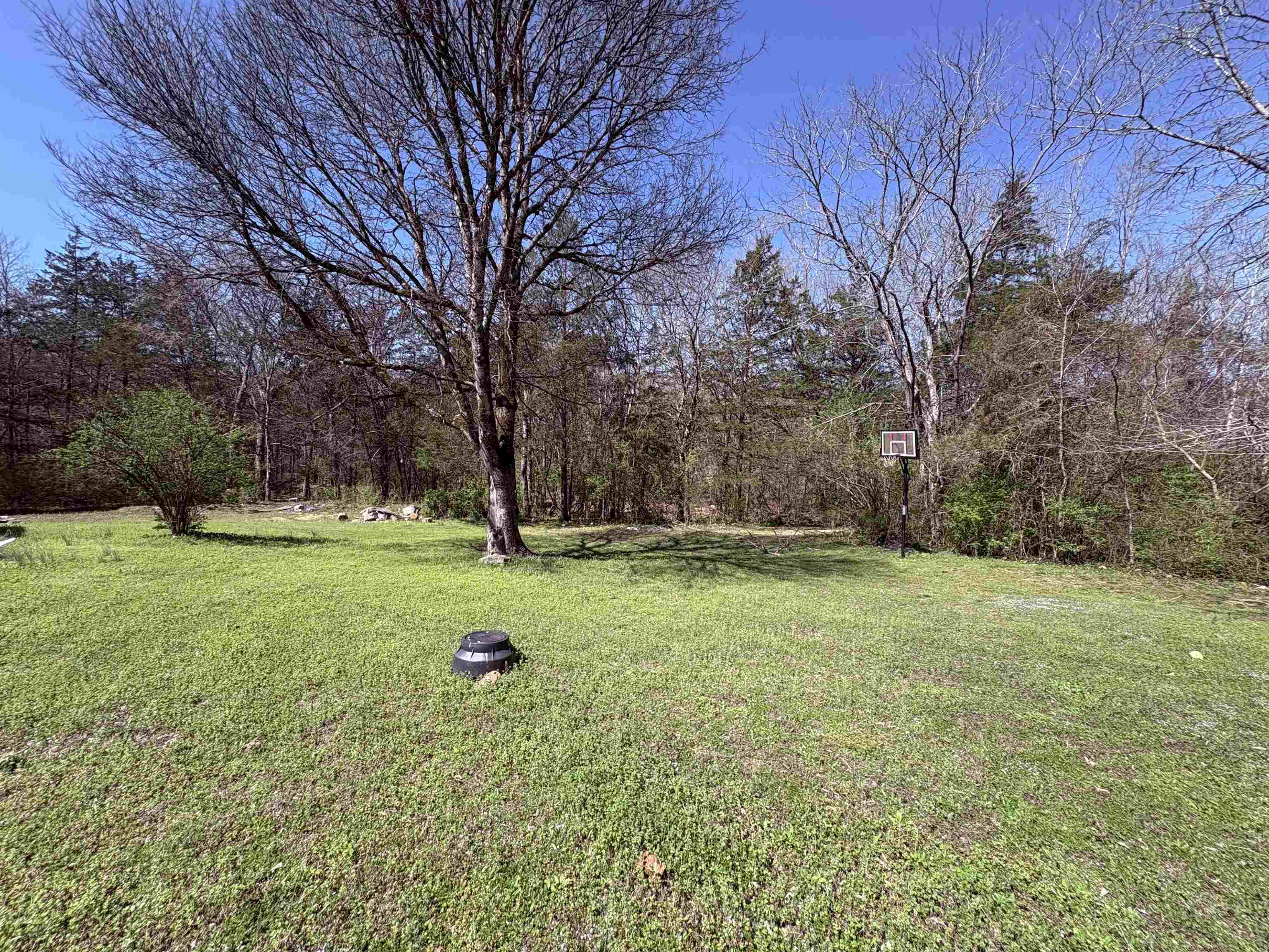 161 Cherokee  Cherokee Village, AR