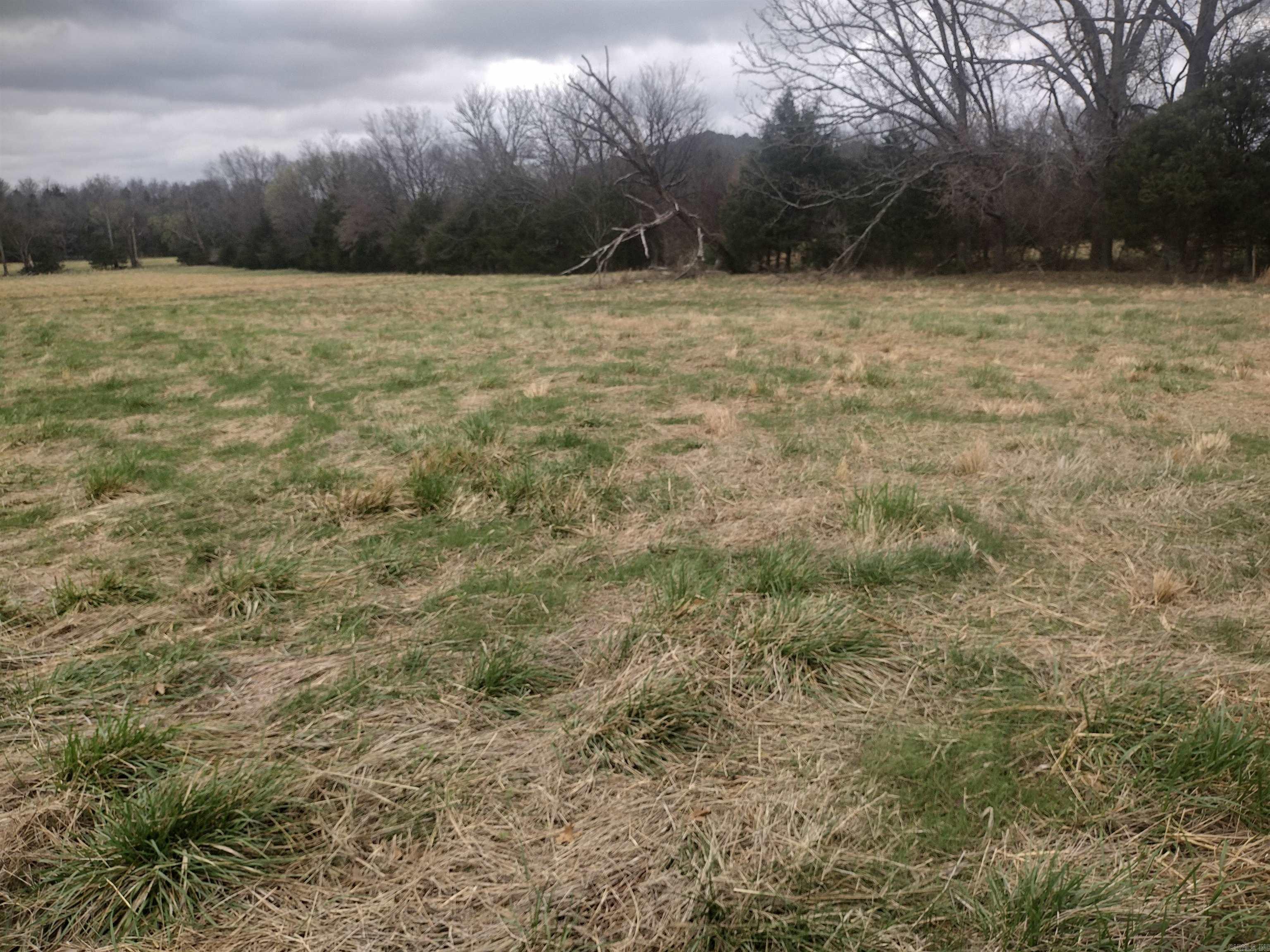 Tract 4 HWY 14 e  Mountain View, AR