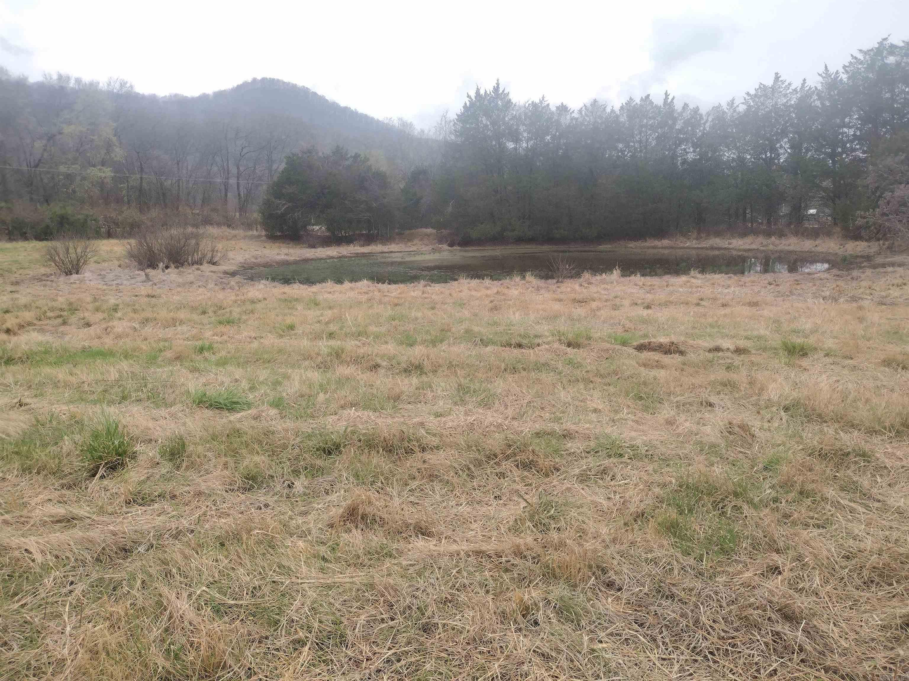 Tract 4 HWY 14 e  Mountain View, AR