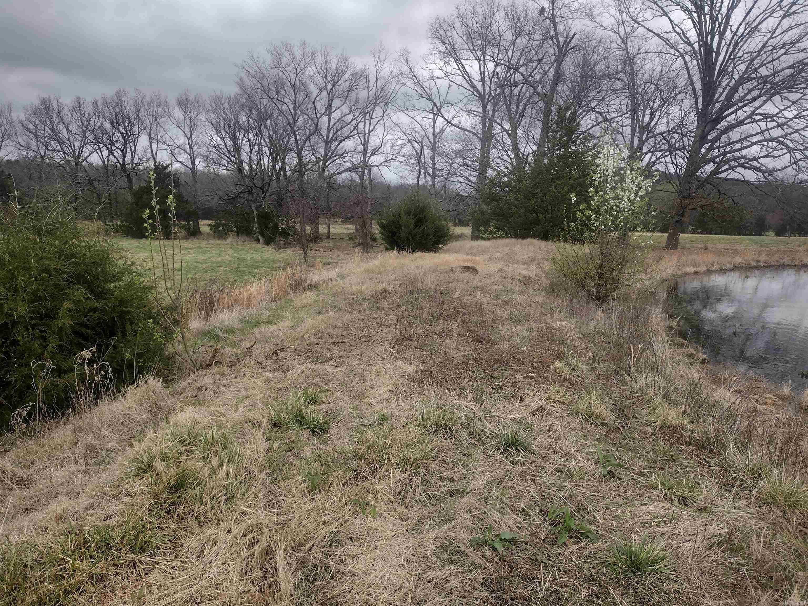 Tract 4 HWY 14 e  Mountain View, AR