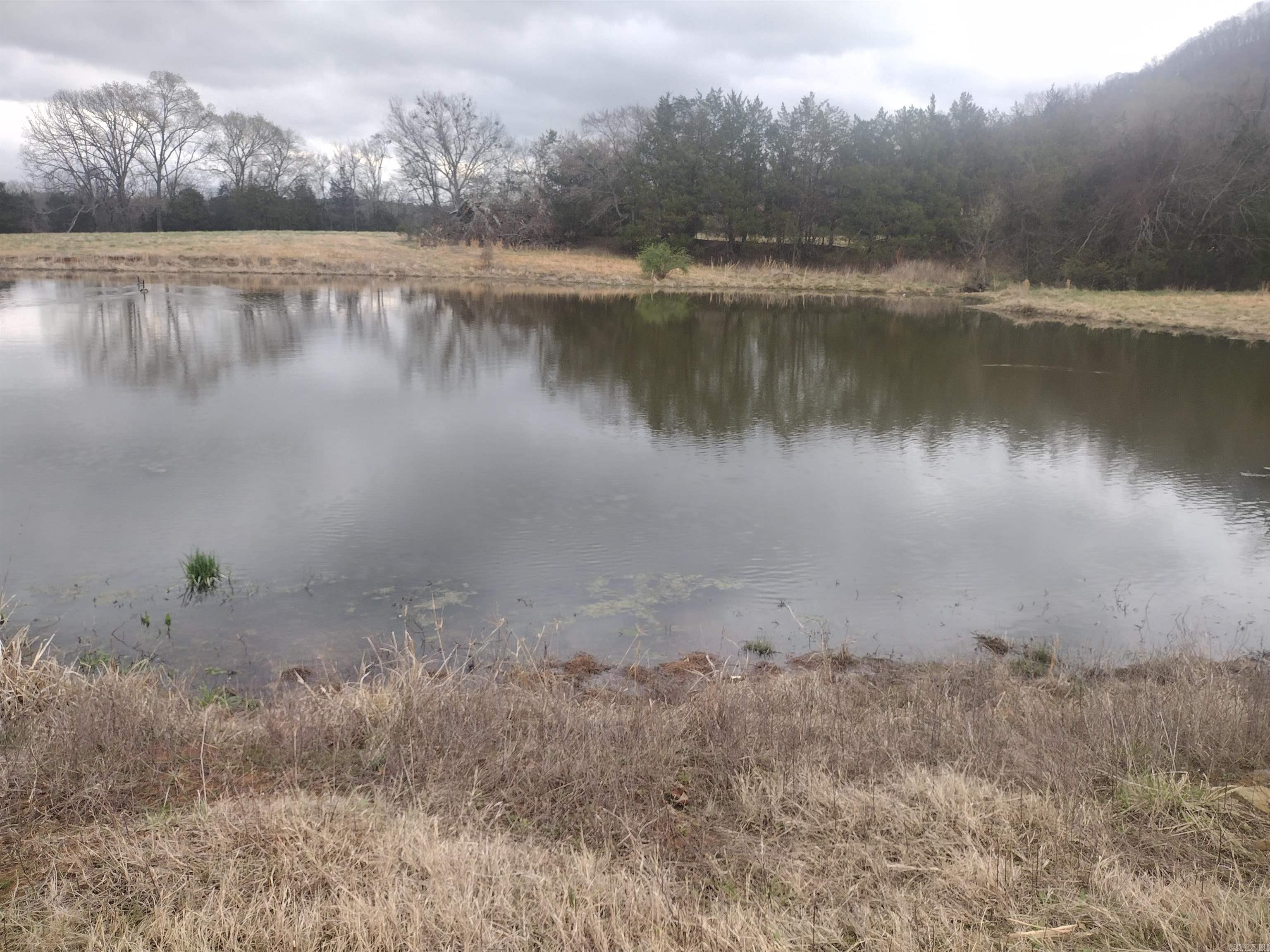 Tract 4 HWY 14 e  Mountain View, AR